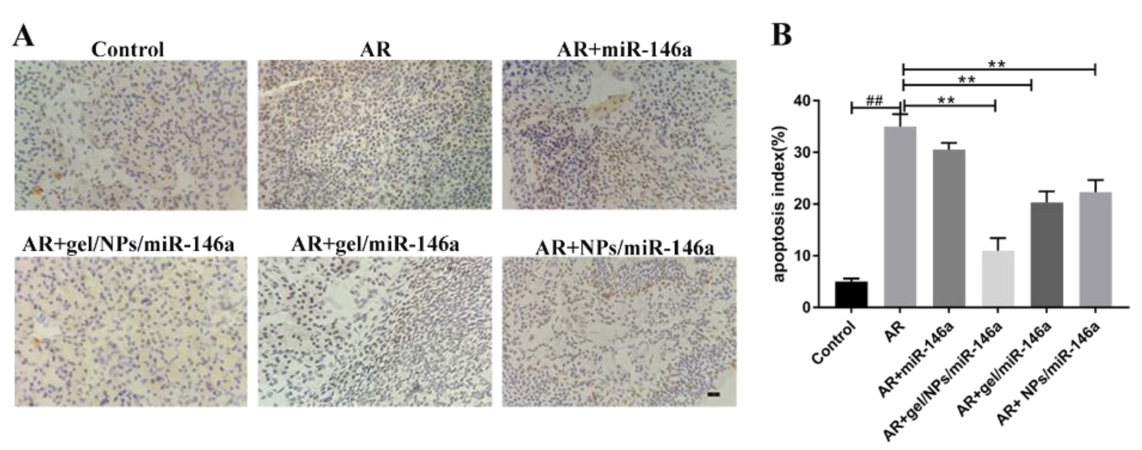 Pharmaceutics 12 00907 g006