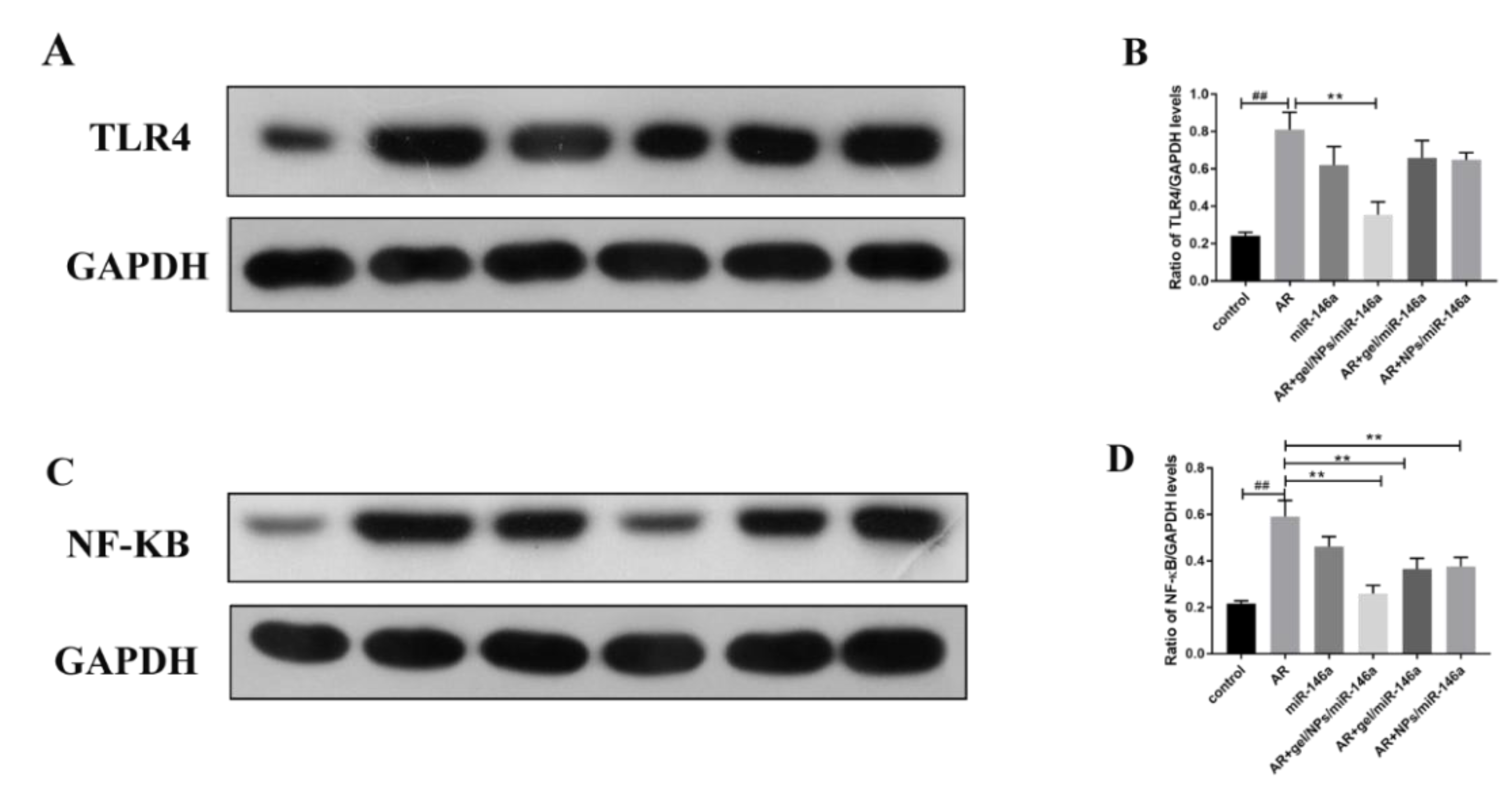 Pharmaceutics 12 00907 g008