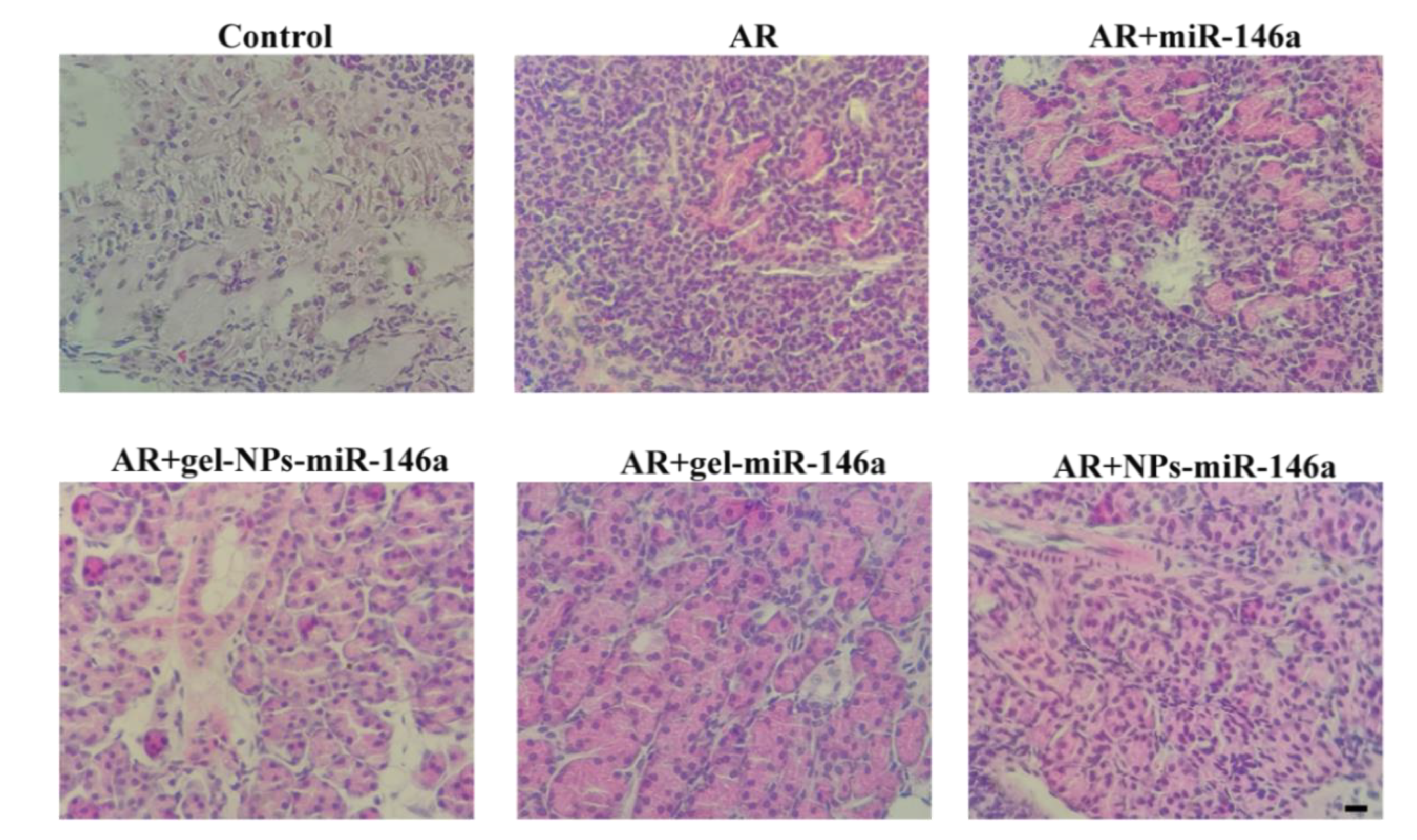 Pharmaceutics 12 00907 g009
