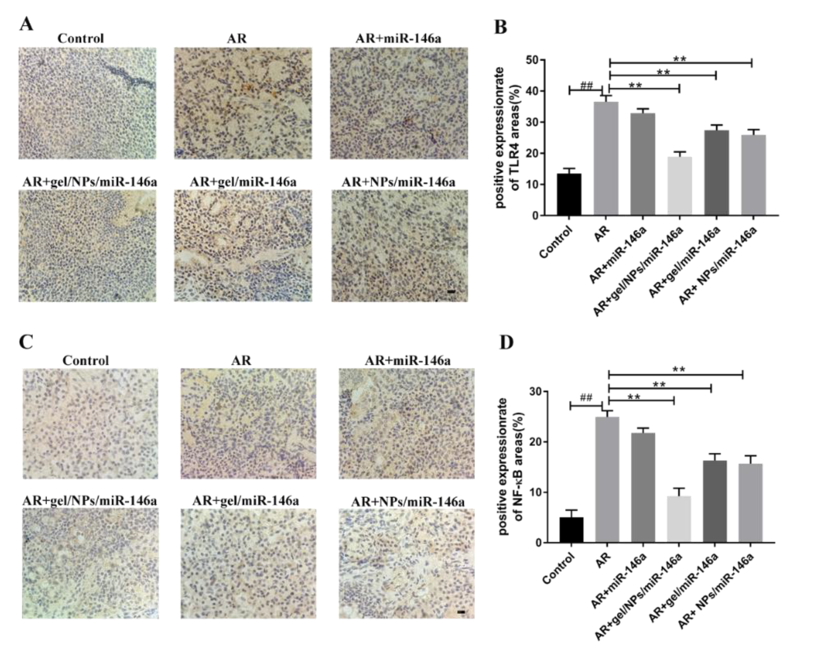Pharmaceutics 12 00907 g010