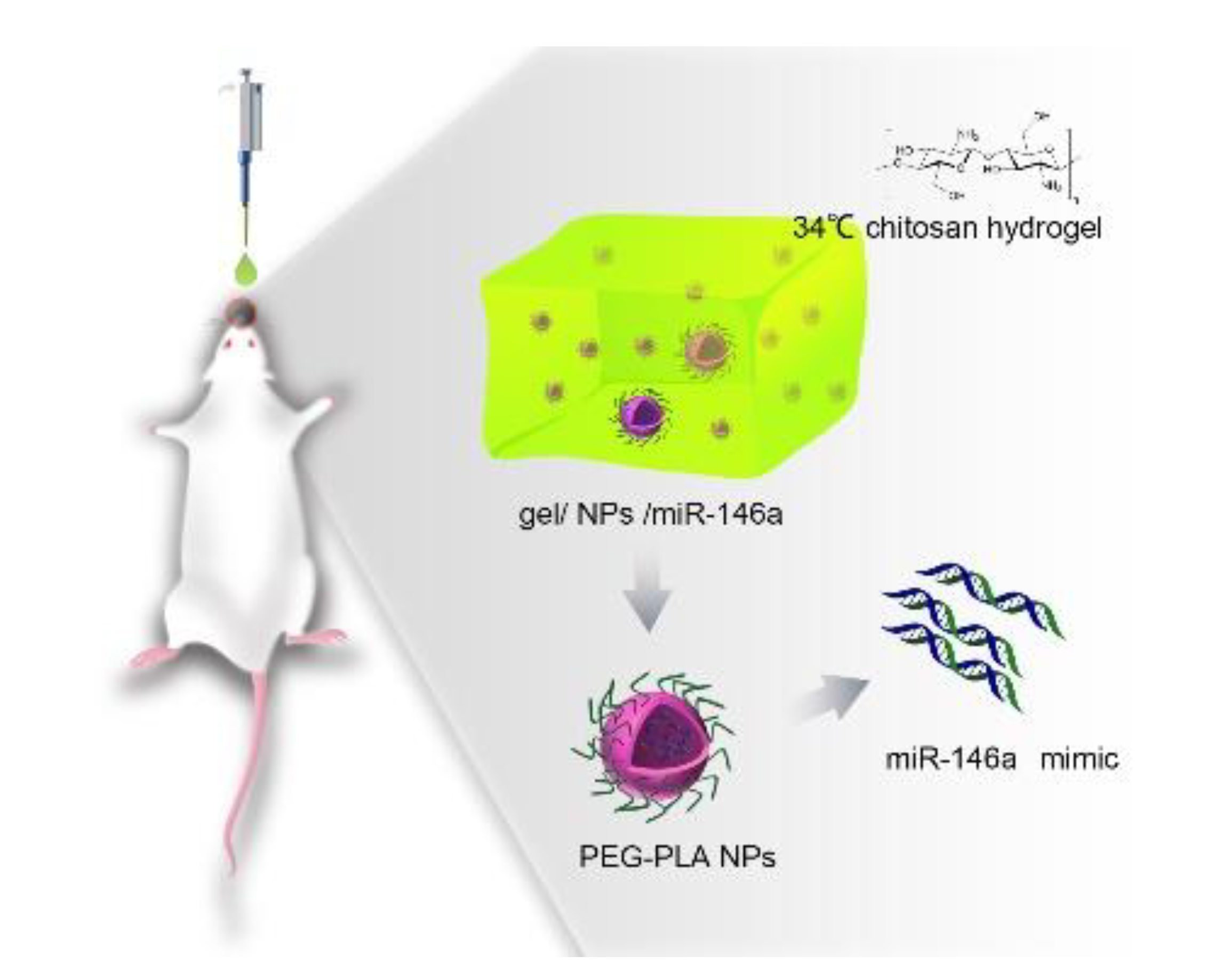 Pharmaceutics 12 00907 sch001