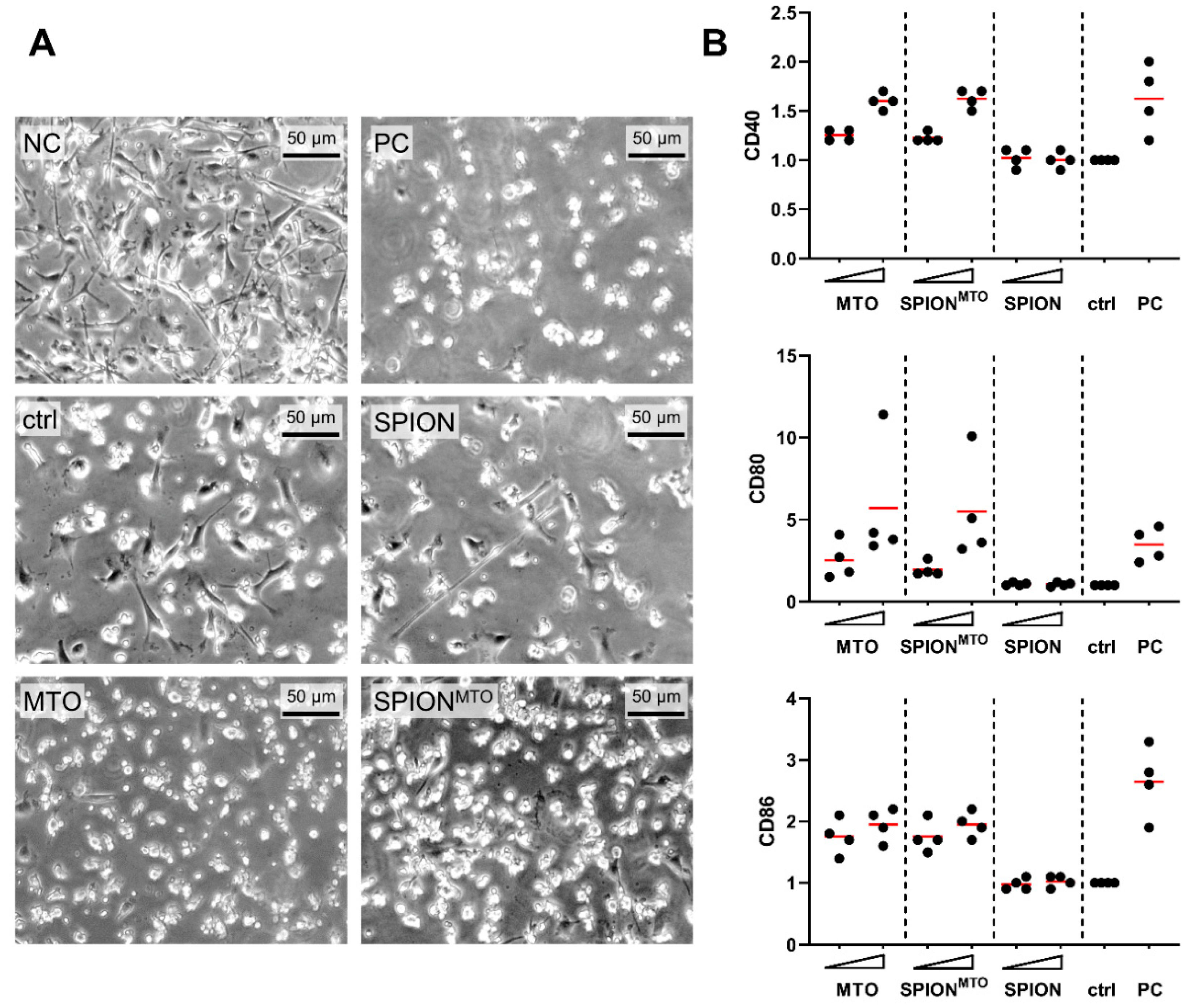 Pharmaceutics 12 00923 g005
