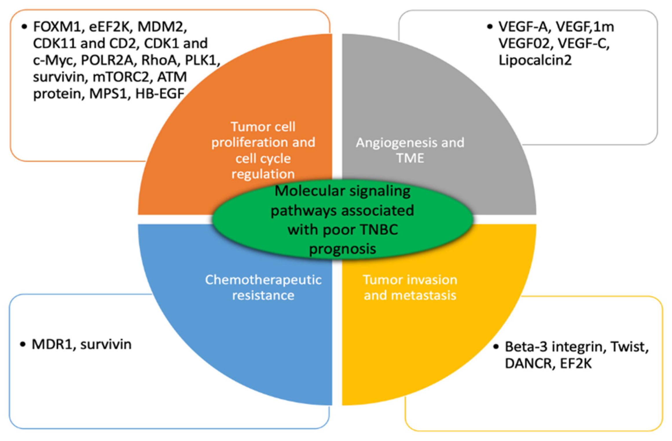 Pharmaceutics 12 00929 g001 Pharmaceutics 12 00929 g001