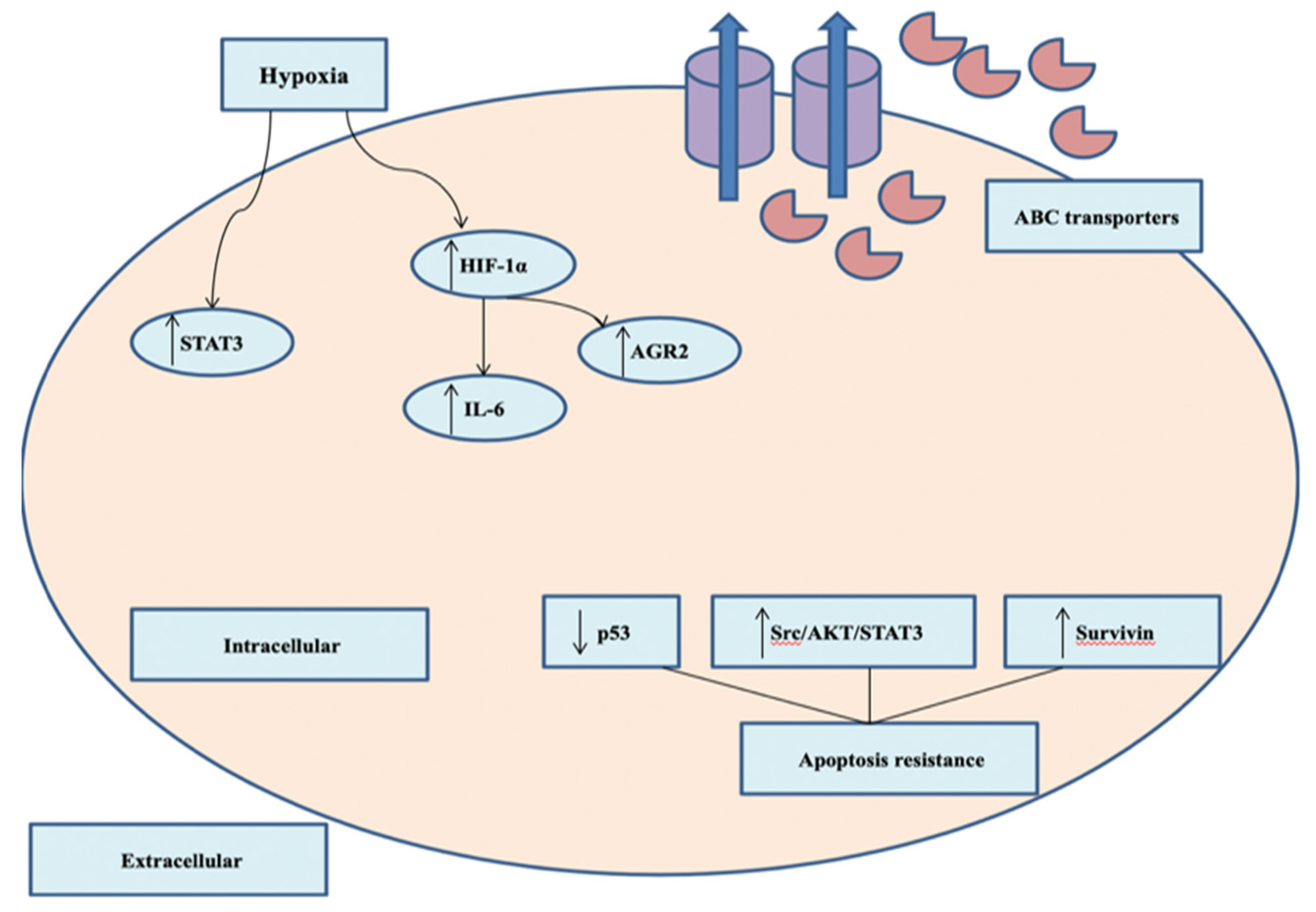 Pharmaceutics 12 00929 g002 Pharmaceutics 12 00929 g002