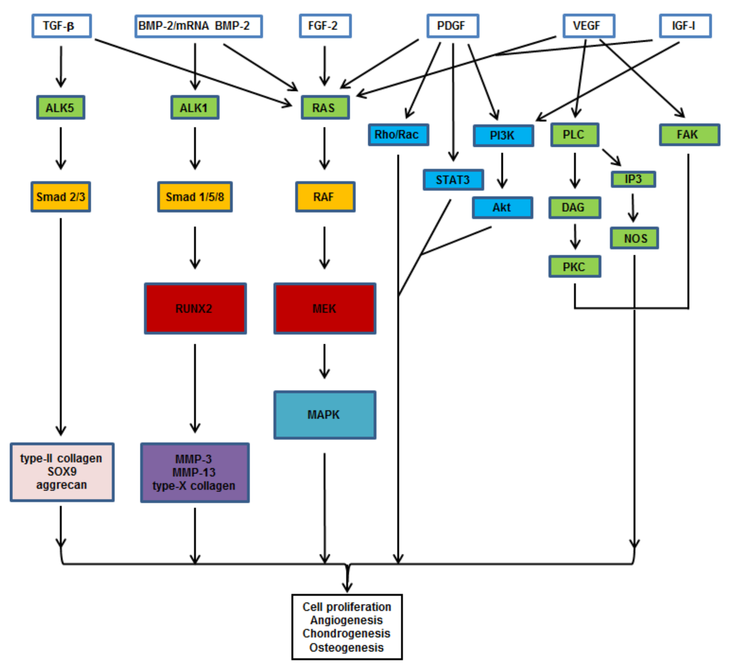 Pharmaceutics 12 00930 g002