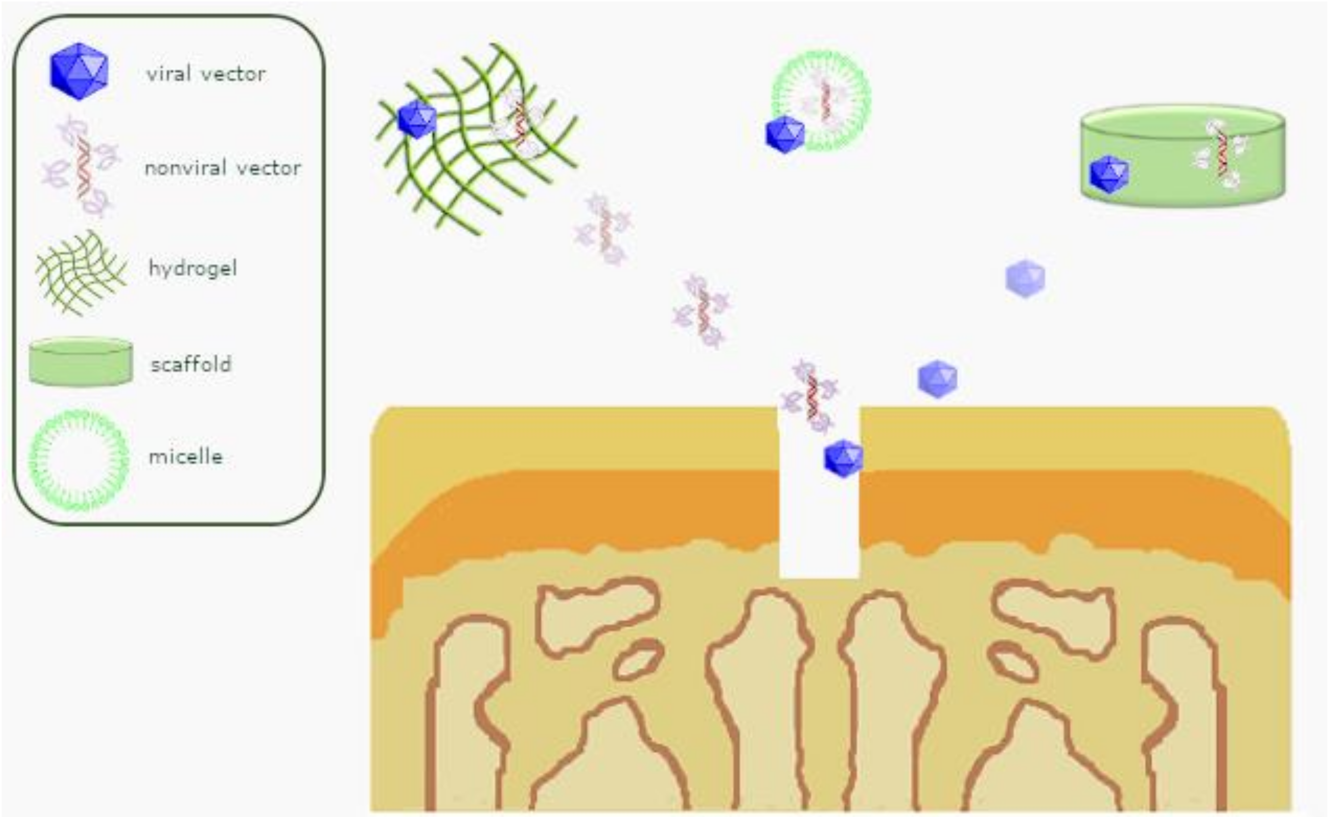 Pharmaceutics 12 00930 g003