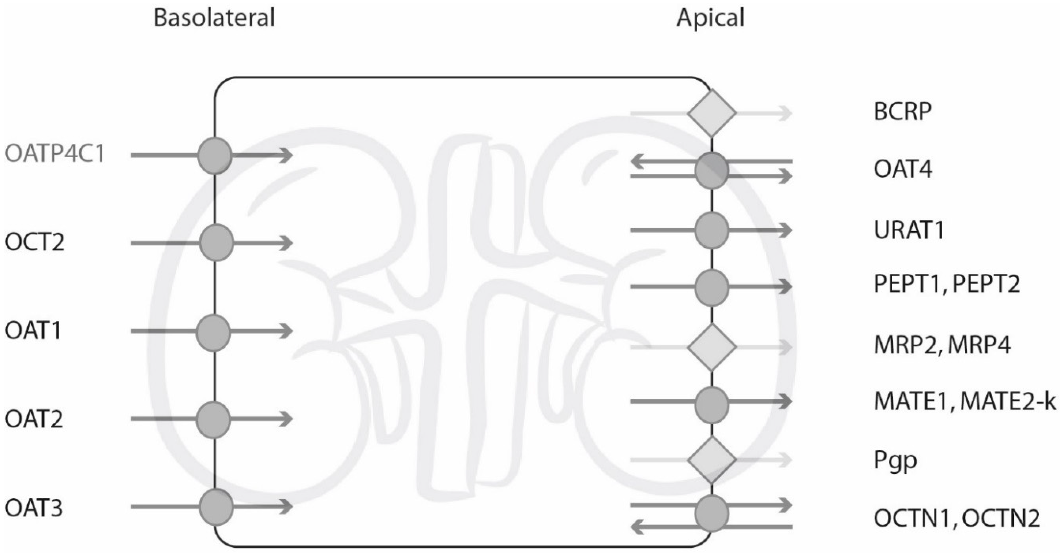 Pharmaceutics 12 00935 g002 Pharmaceutics 12 00935 g002