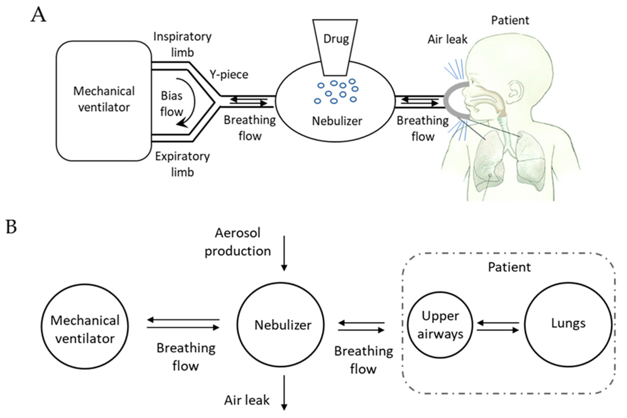 Pharmaceutics 12 00936 g001