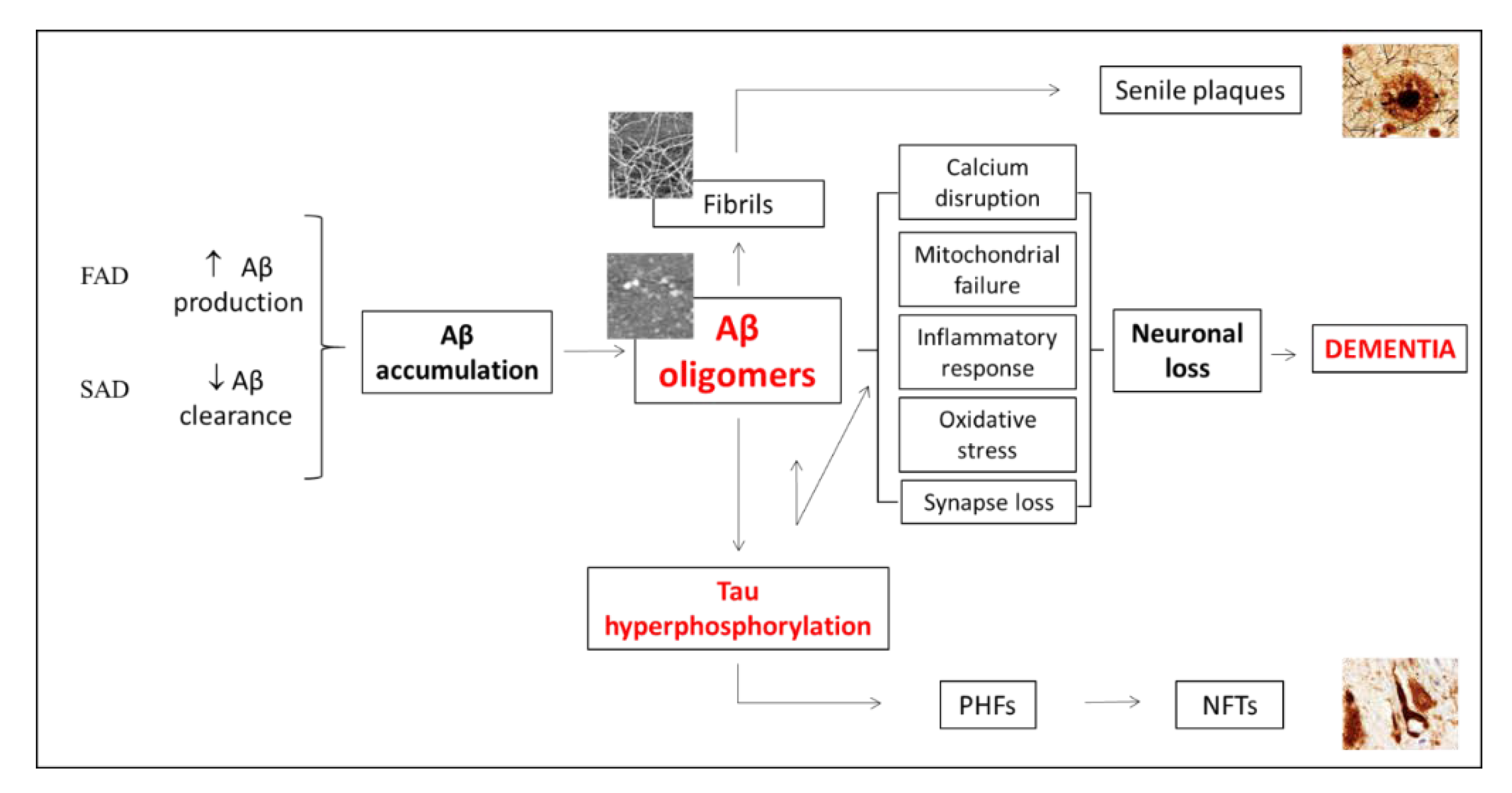 Pharmaceutics 12 00944 g008