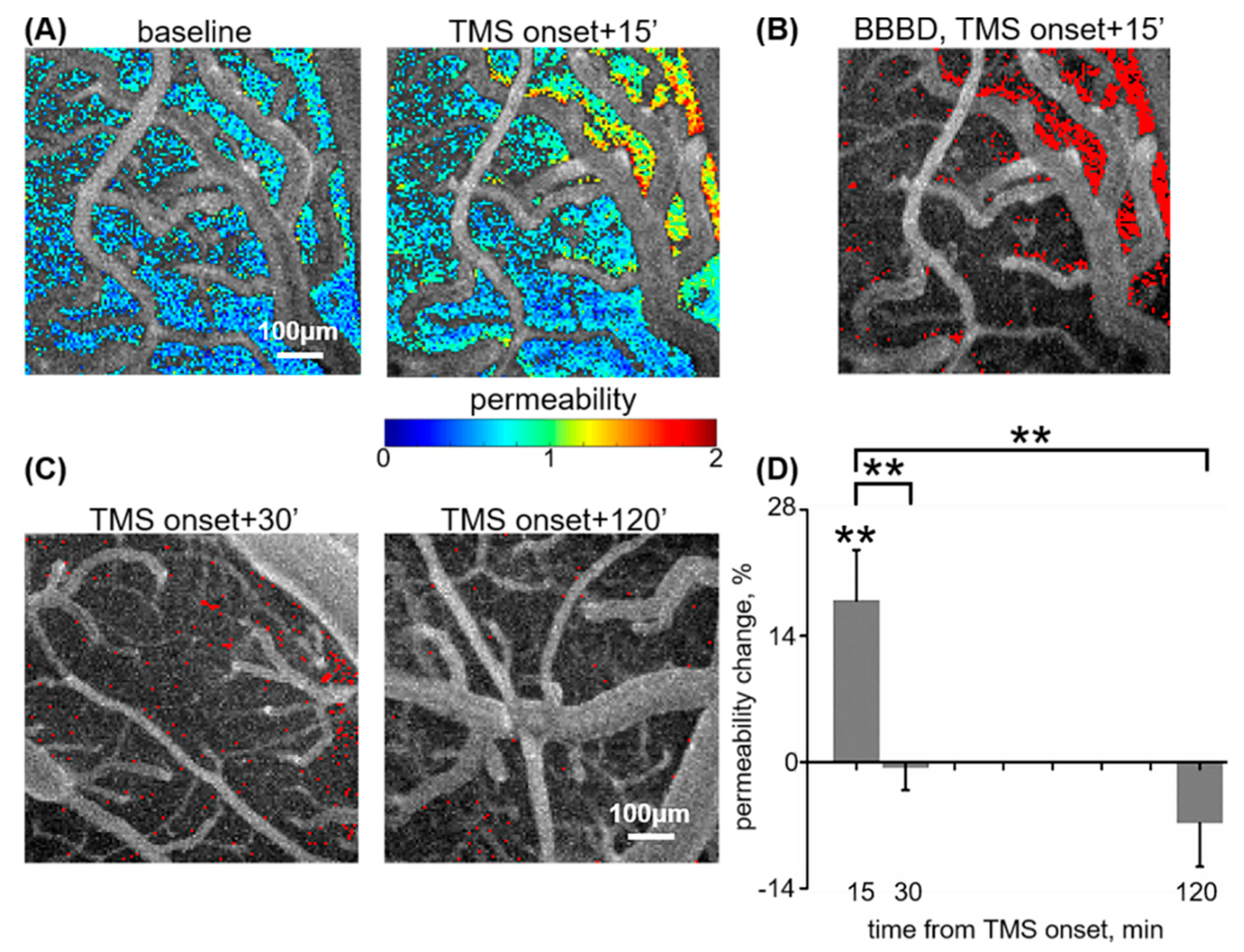 Pharmaceutics 12 00946 g001