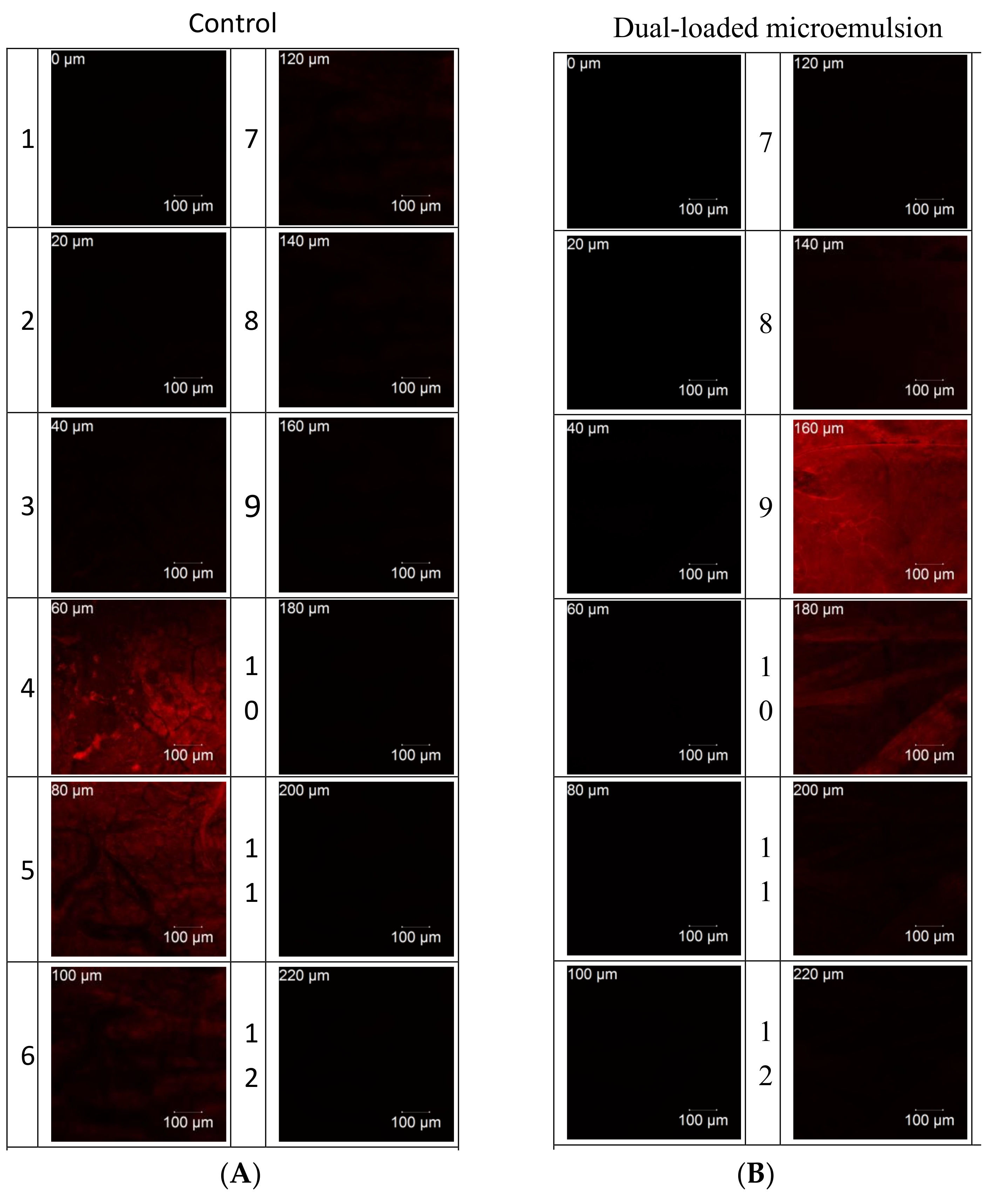 Pharmaceutics 12 00949 g004
