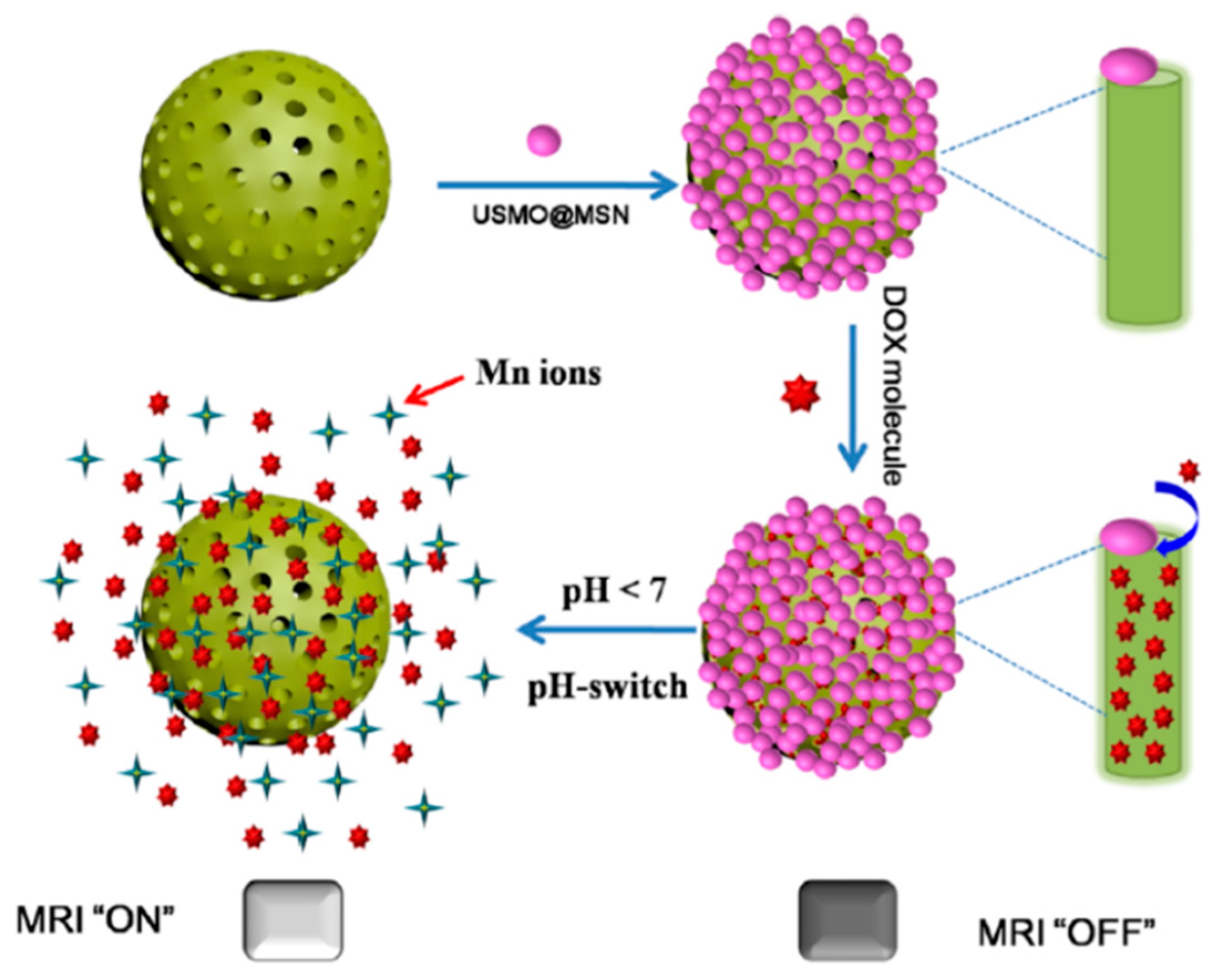 Pharmaceutics 12 00957 g003