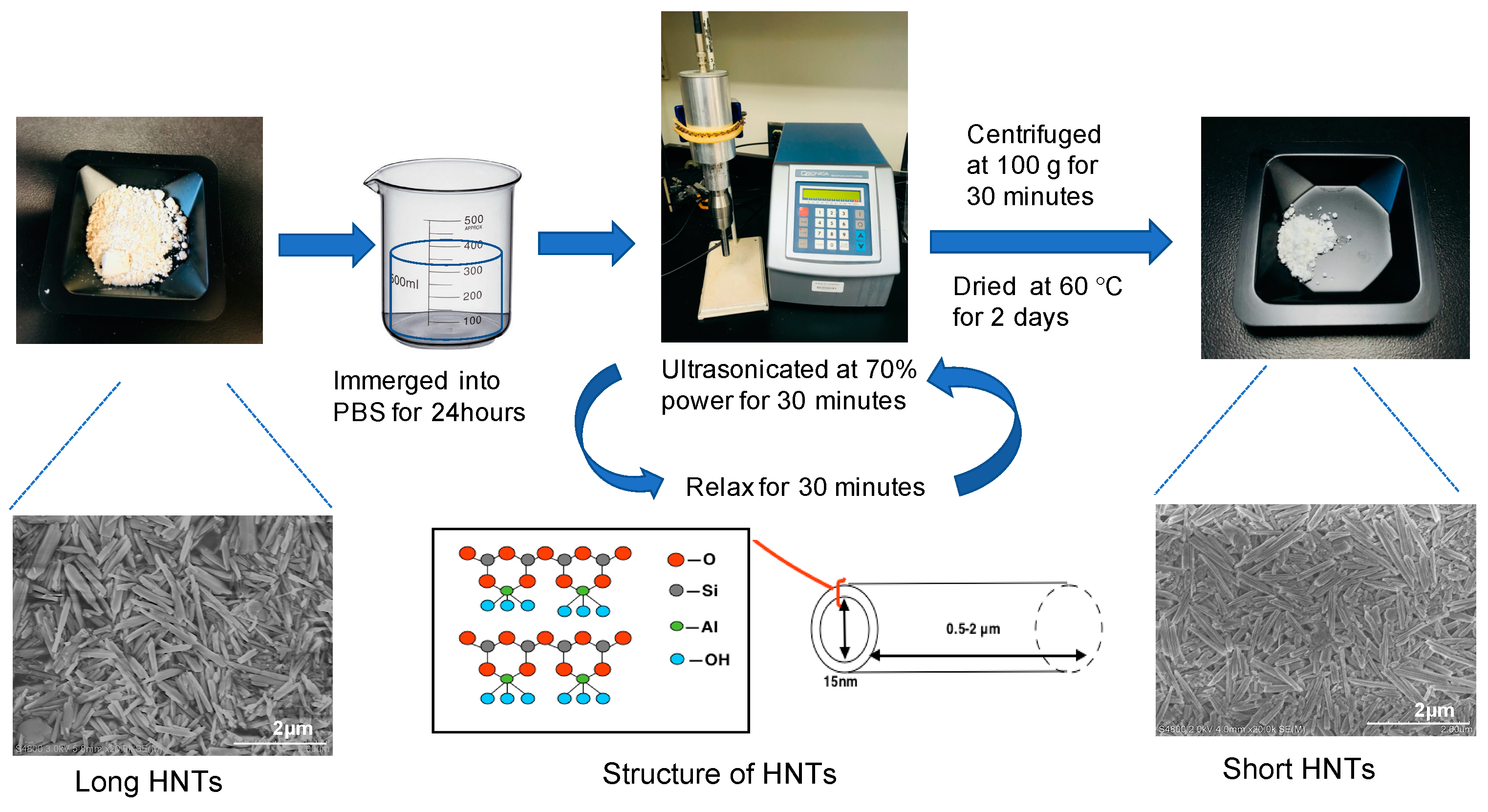 Pharmaceutics 12 00962 g001 Pharmaceutics 12 00962 g001