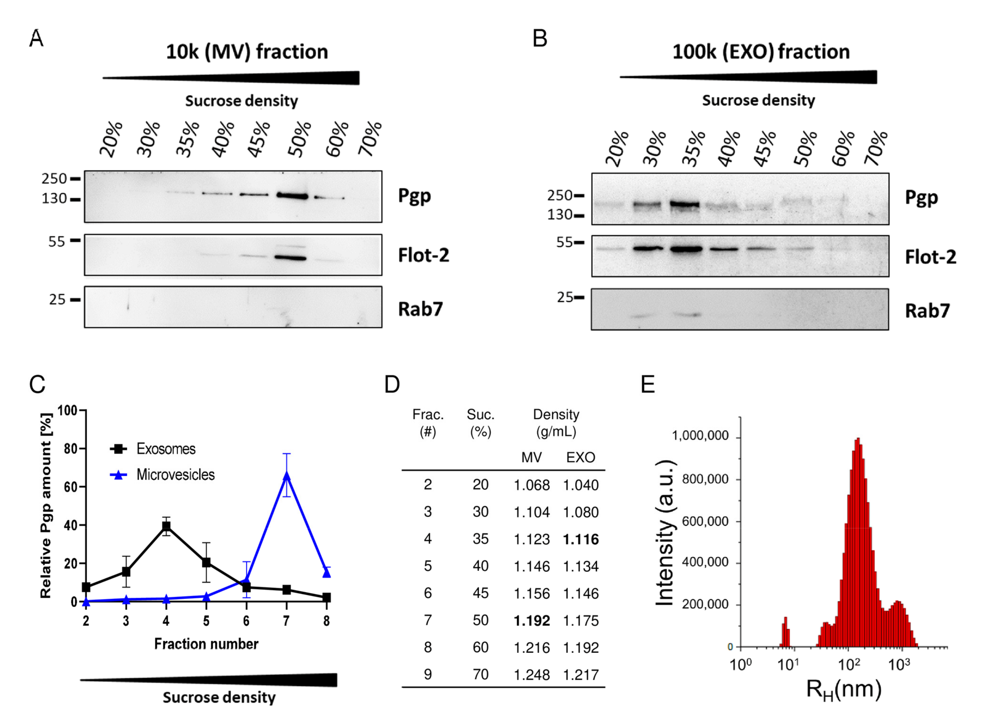 Pharmaceutics 12 00966 g004