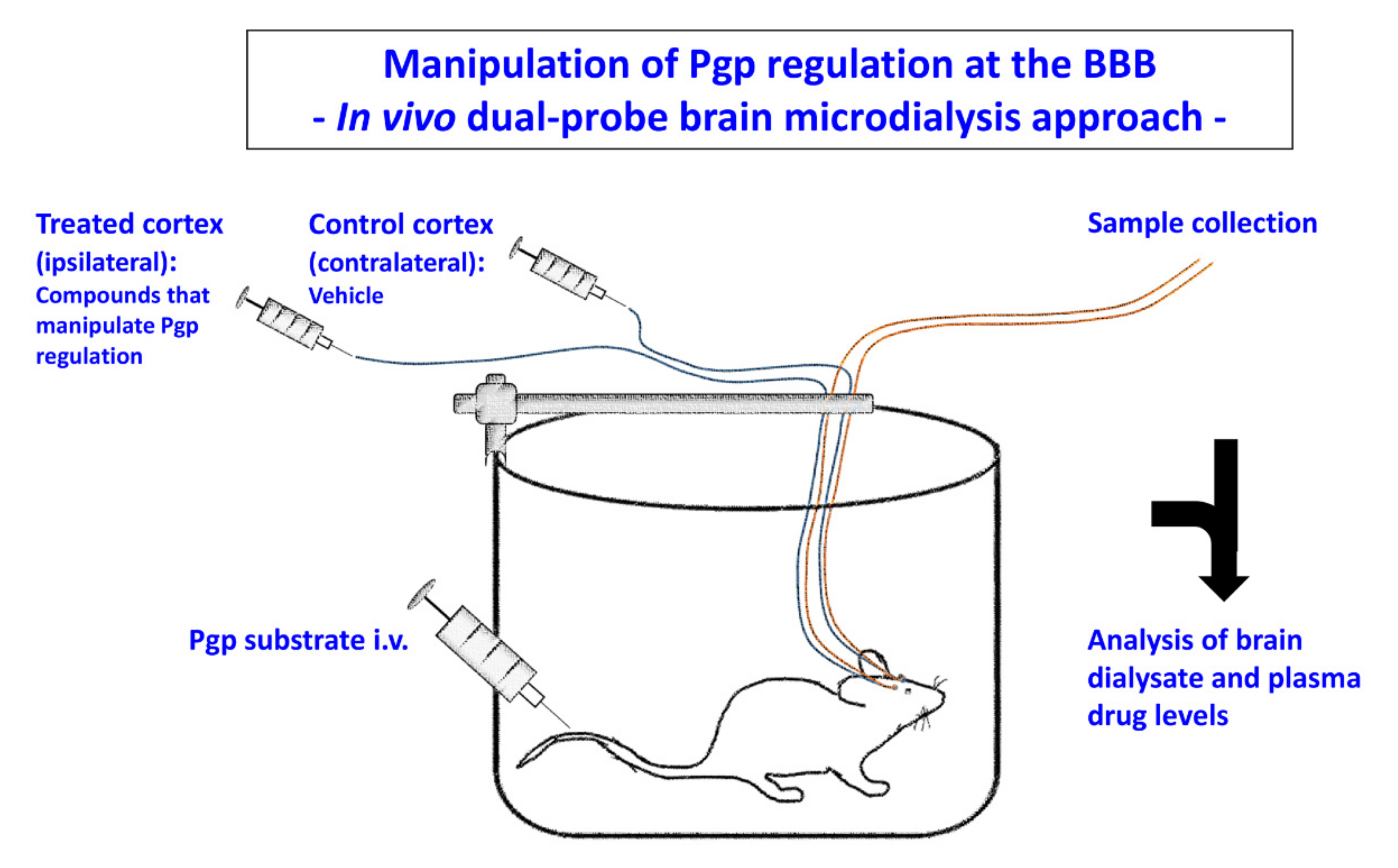 Pharmaceutics 12 00966 g008