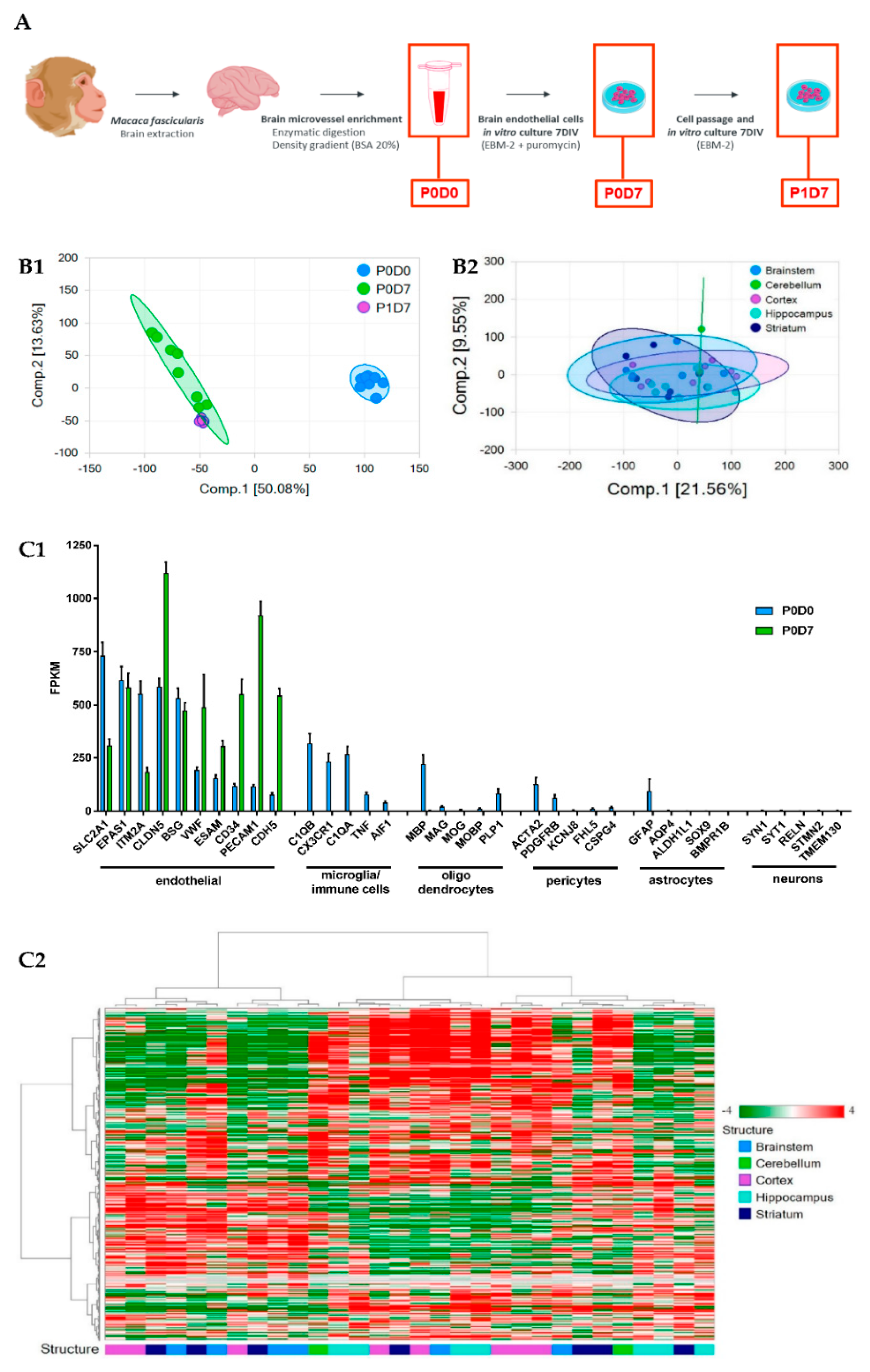 Pharmaceutics 12 00967 g001