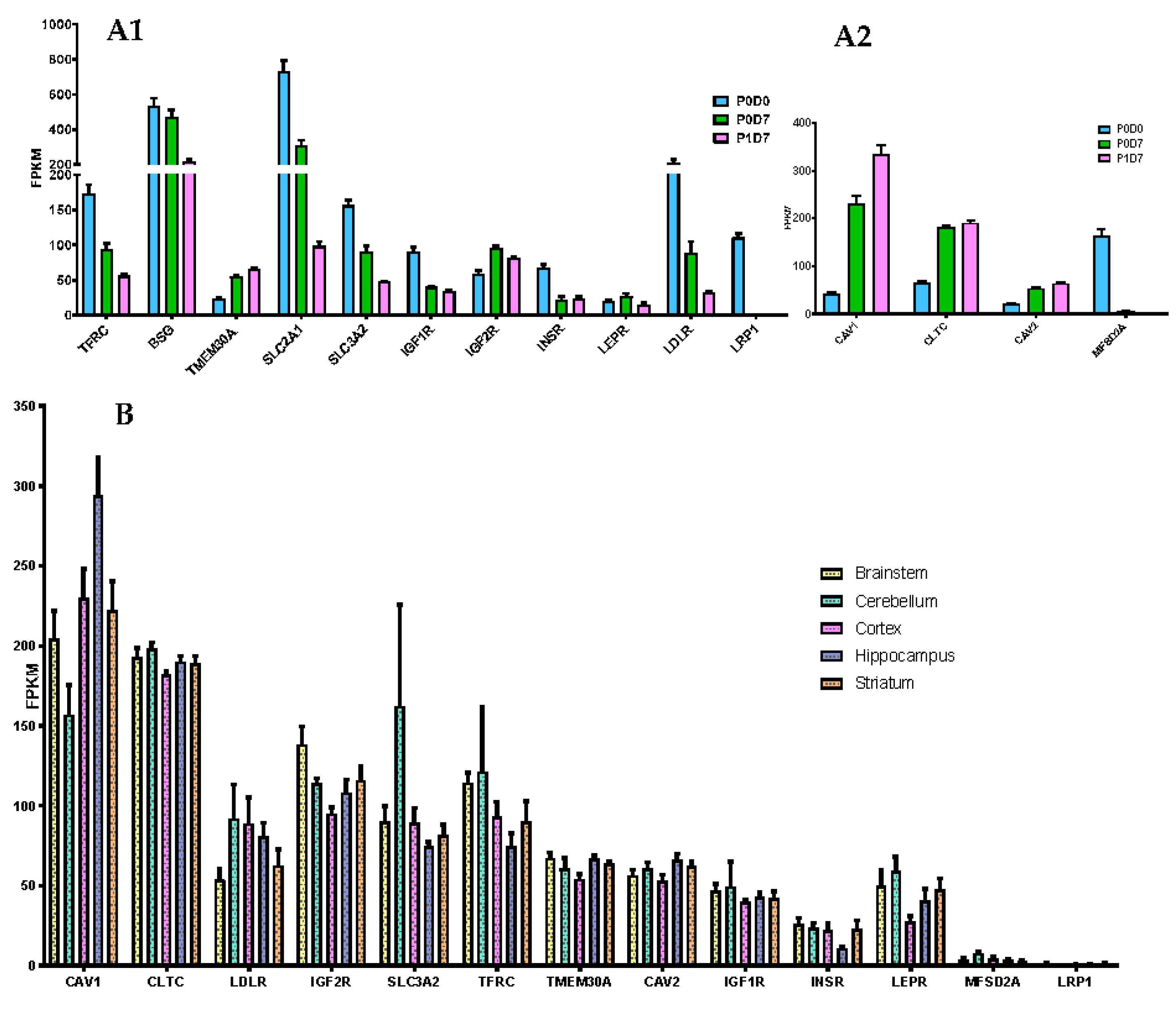 Pharmaceutics 12 00967 g003