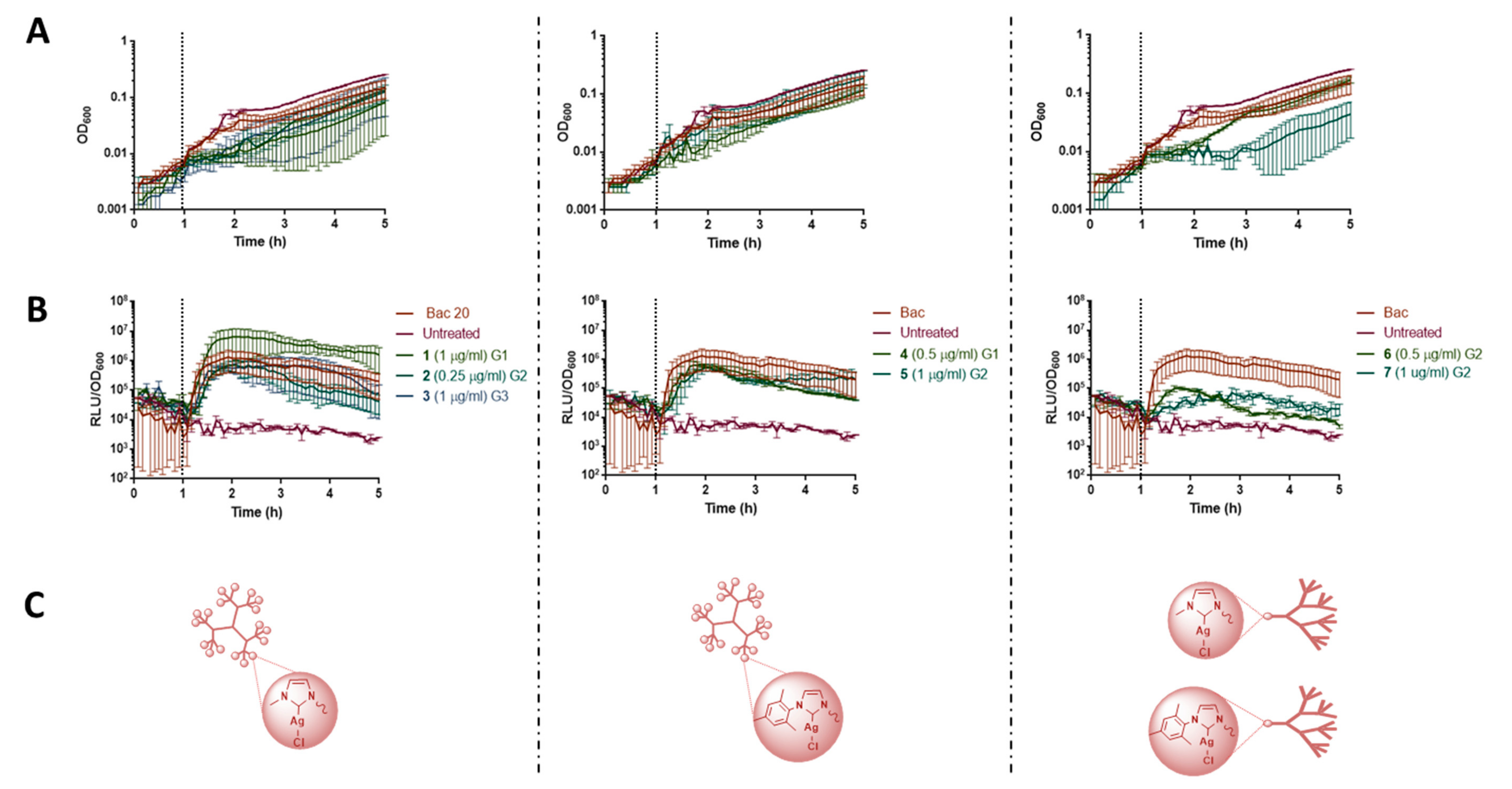 Pharmaceutics 12 00968 g001