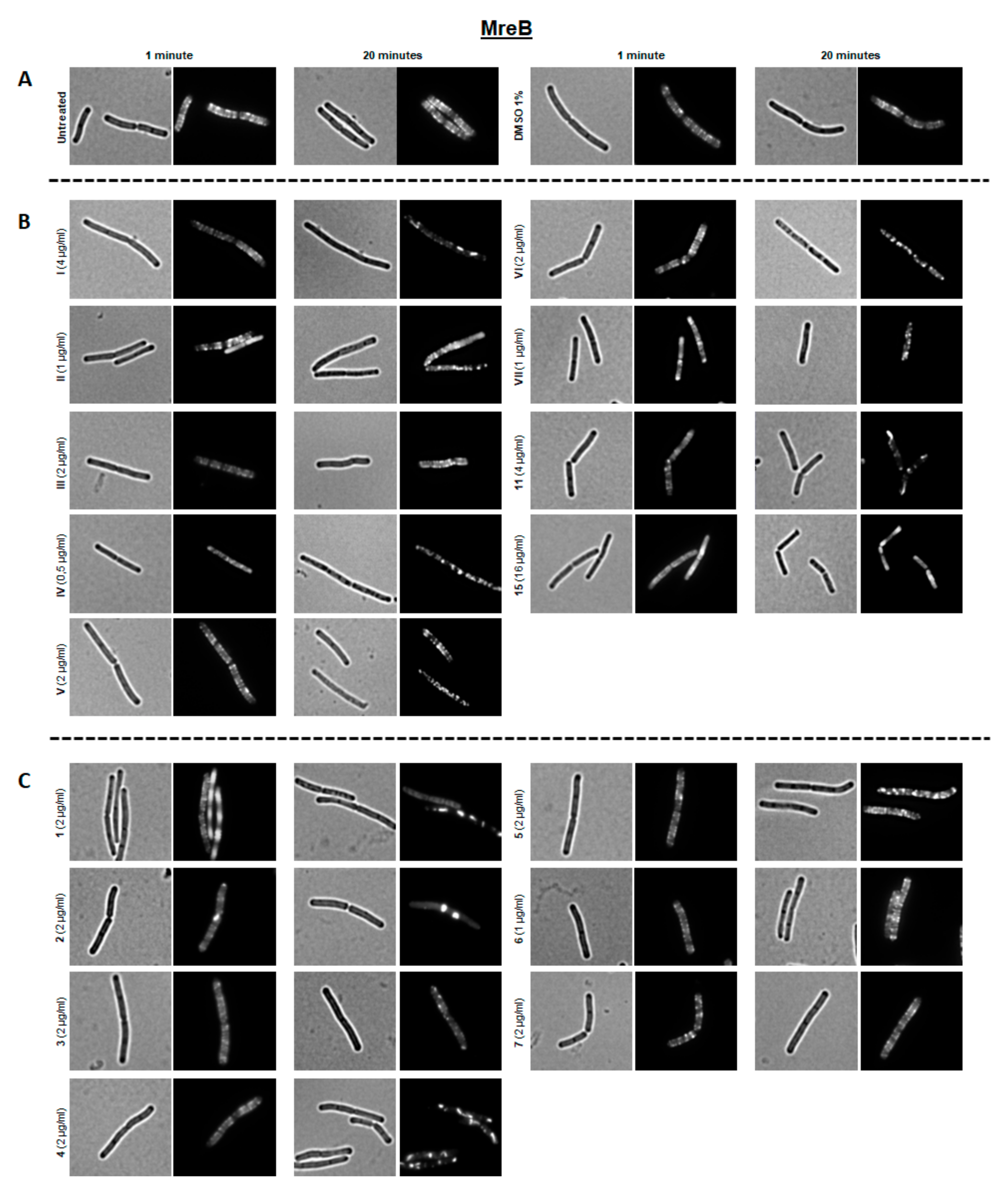 Pharmaceutics 12 00968 g009