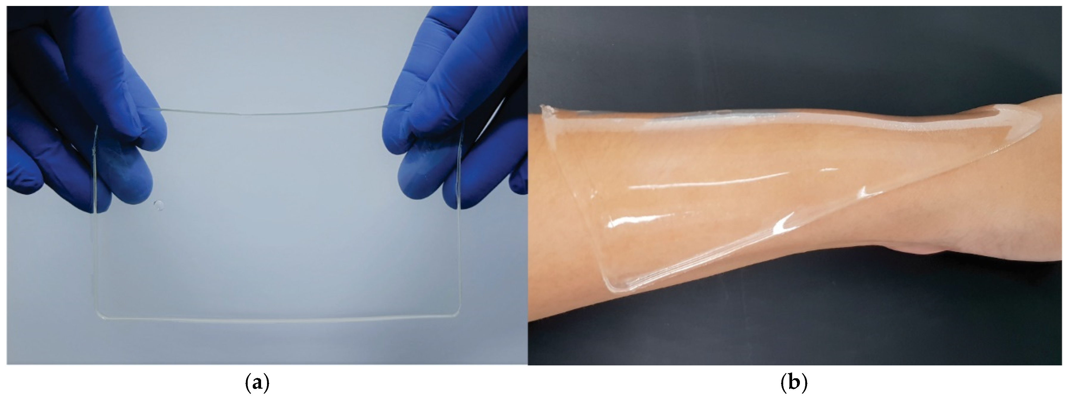 Pharmaceutics 12 00970 g002