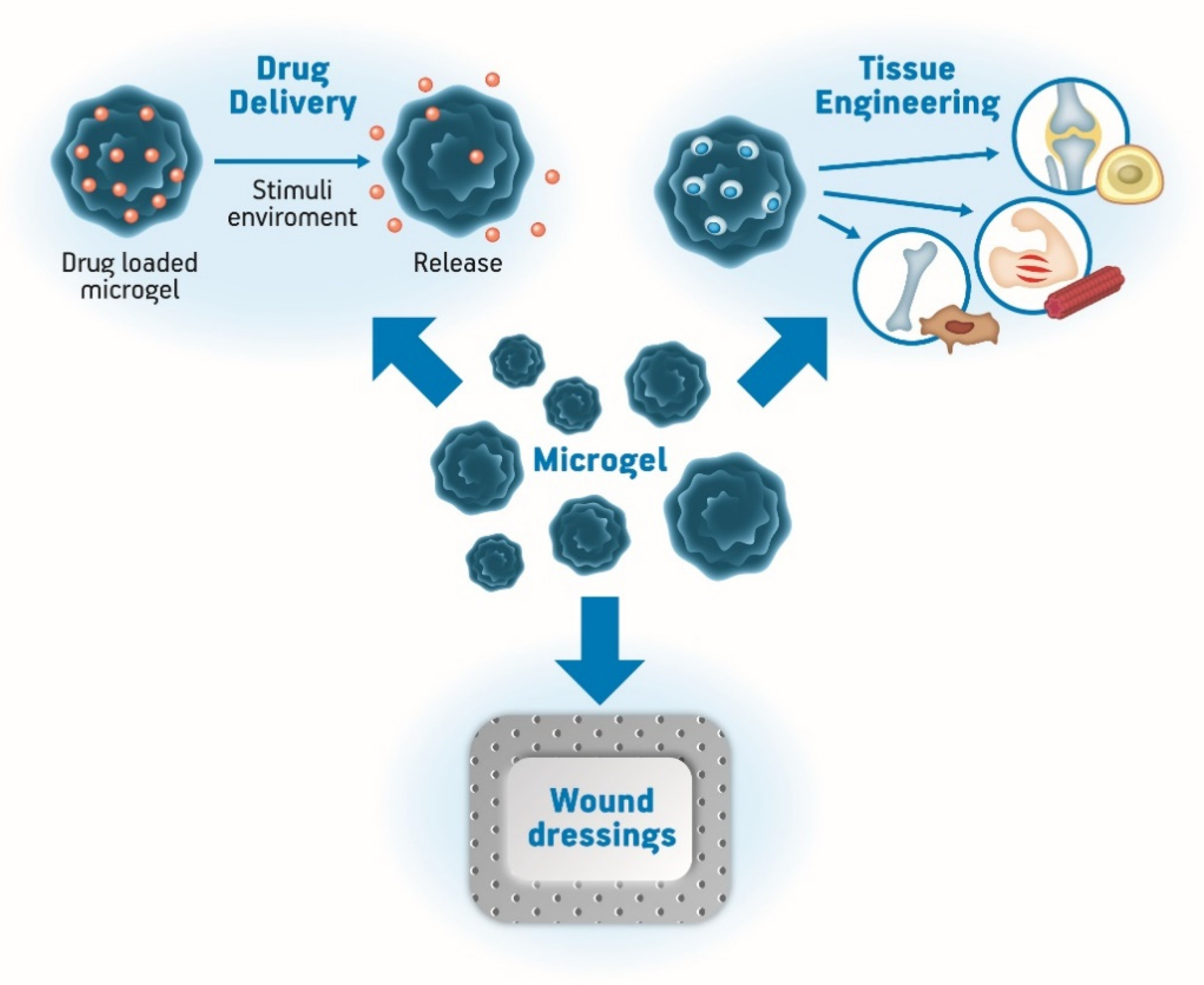 Pharmaceutics 12 00970 g004