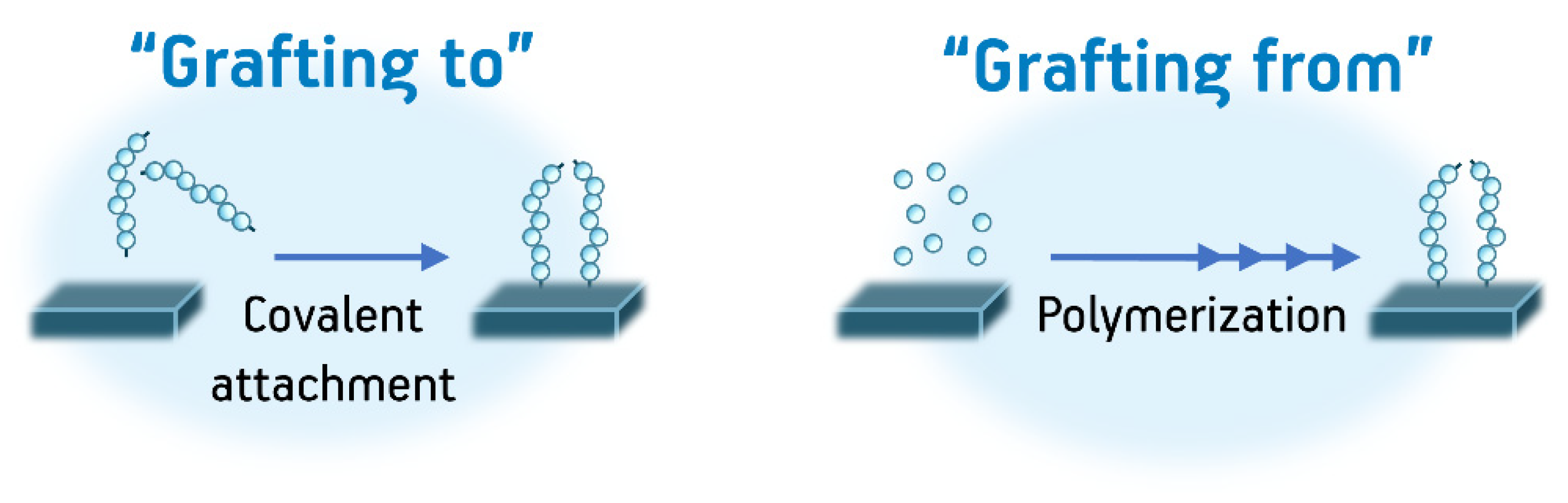 Pharmaceutics 12 00970 g007