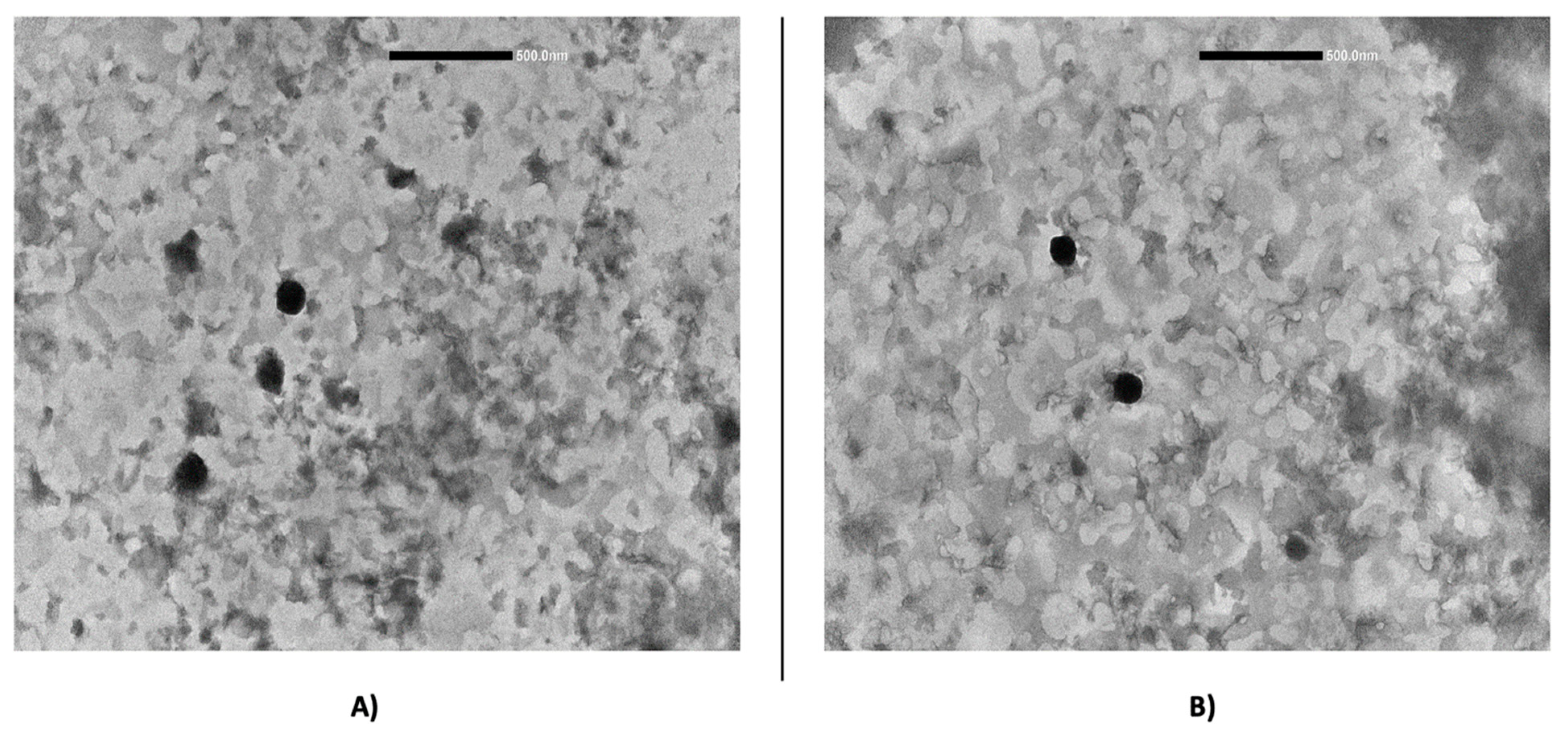 Pharmaceutics 12 00973 g001