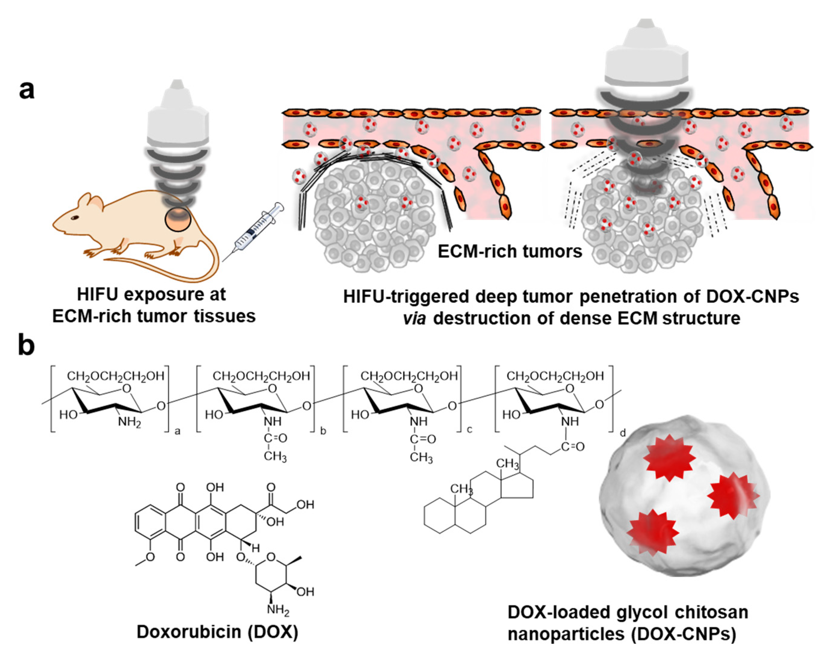 Pharmaceutics 12 00974 g001