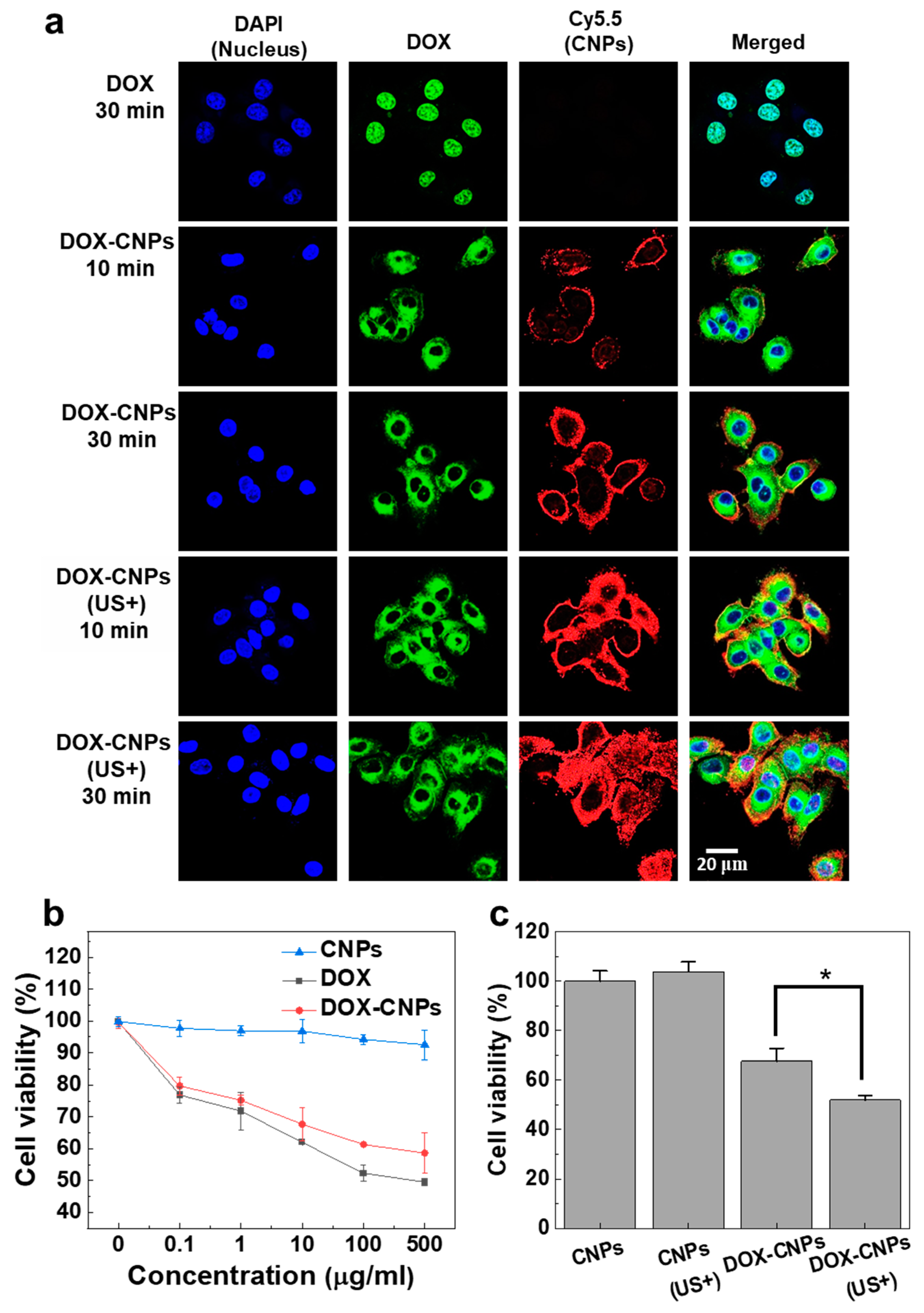 Pharmaceutics 12 00974 g003