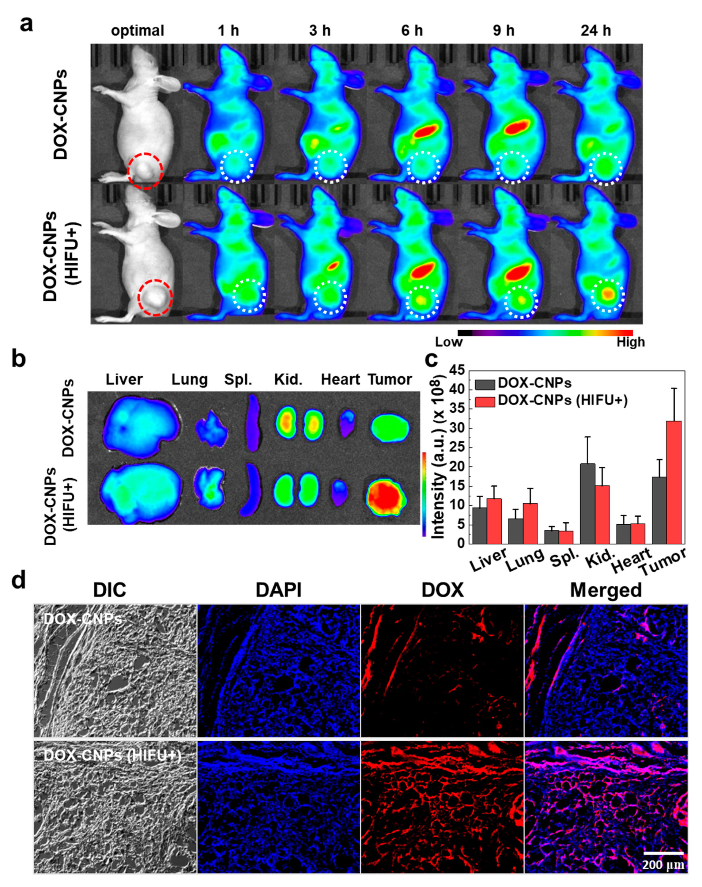 Pharmaceutics 12 00974 g004