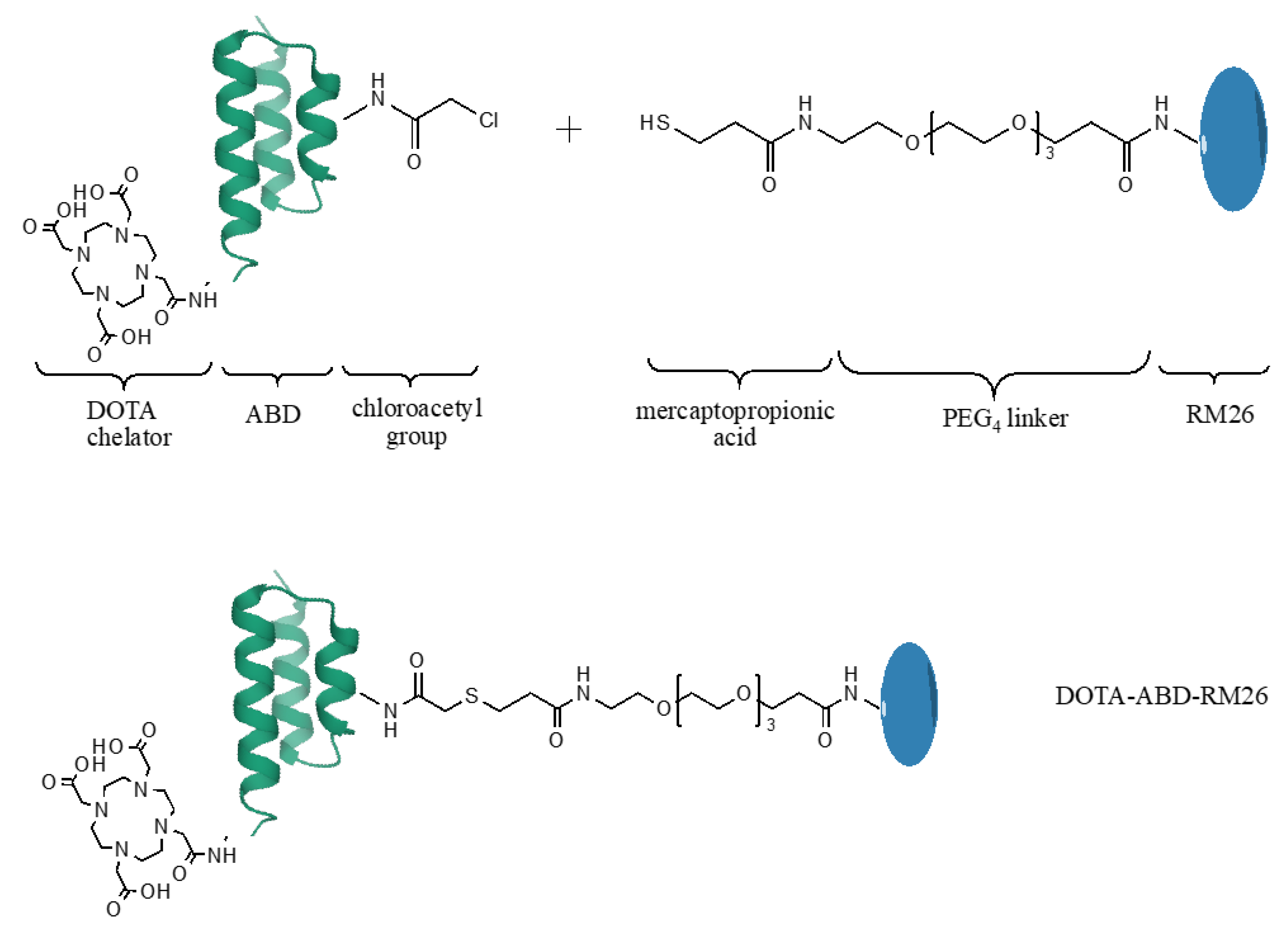 Pharmaceutics 12 00977 g001