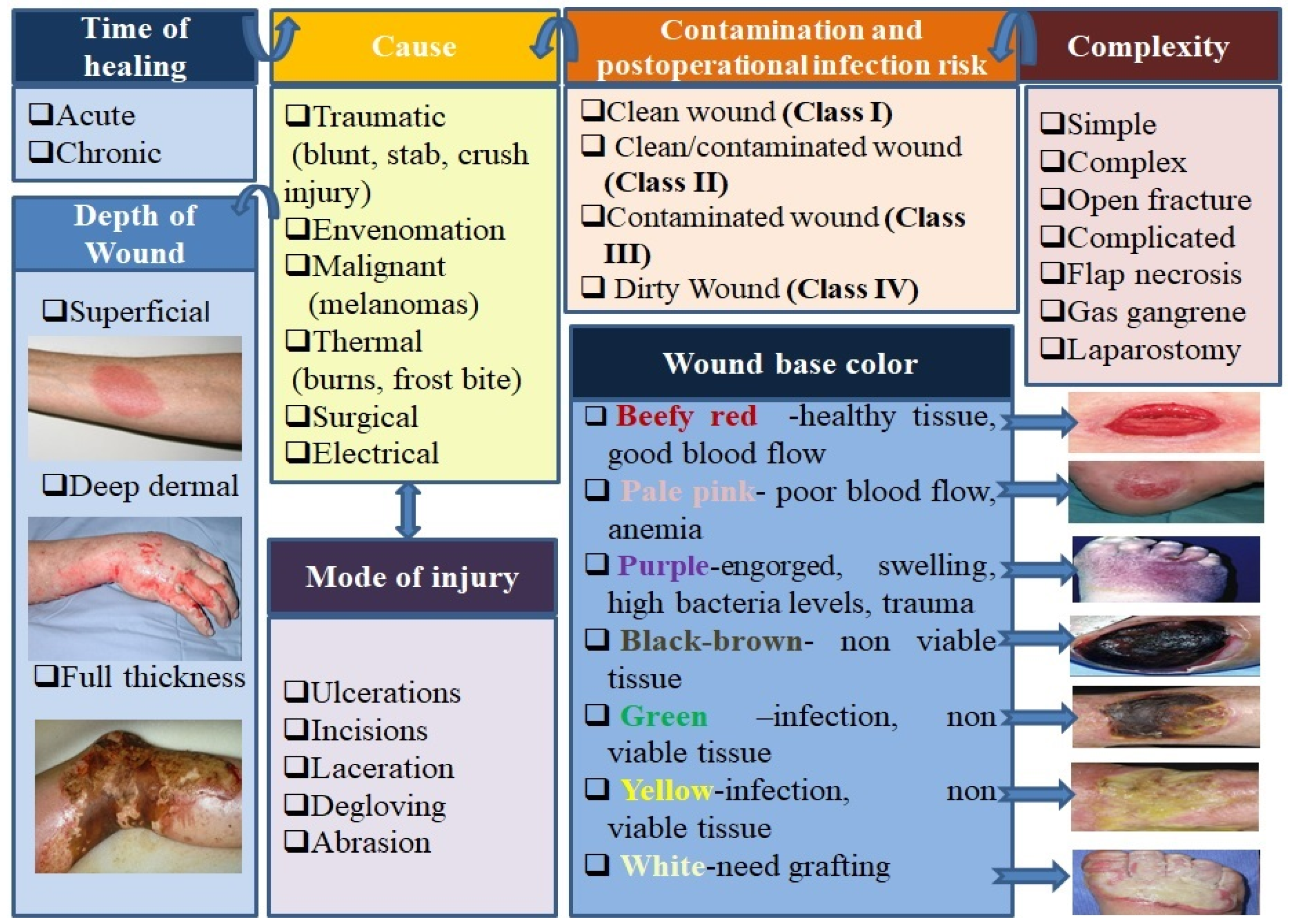 Pharmaceutics 12 00983 g002