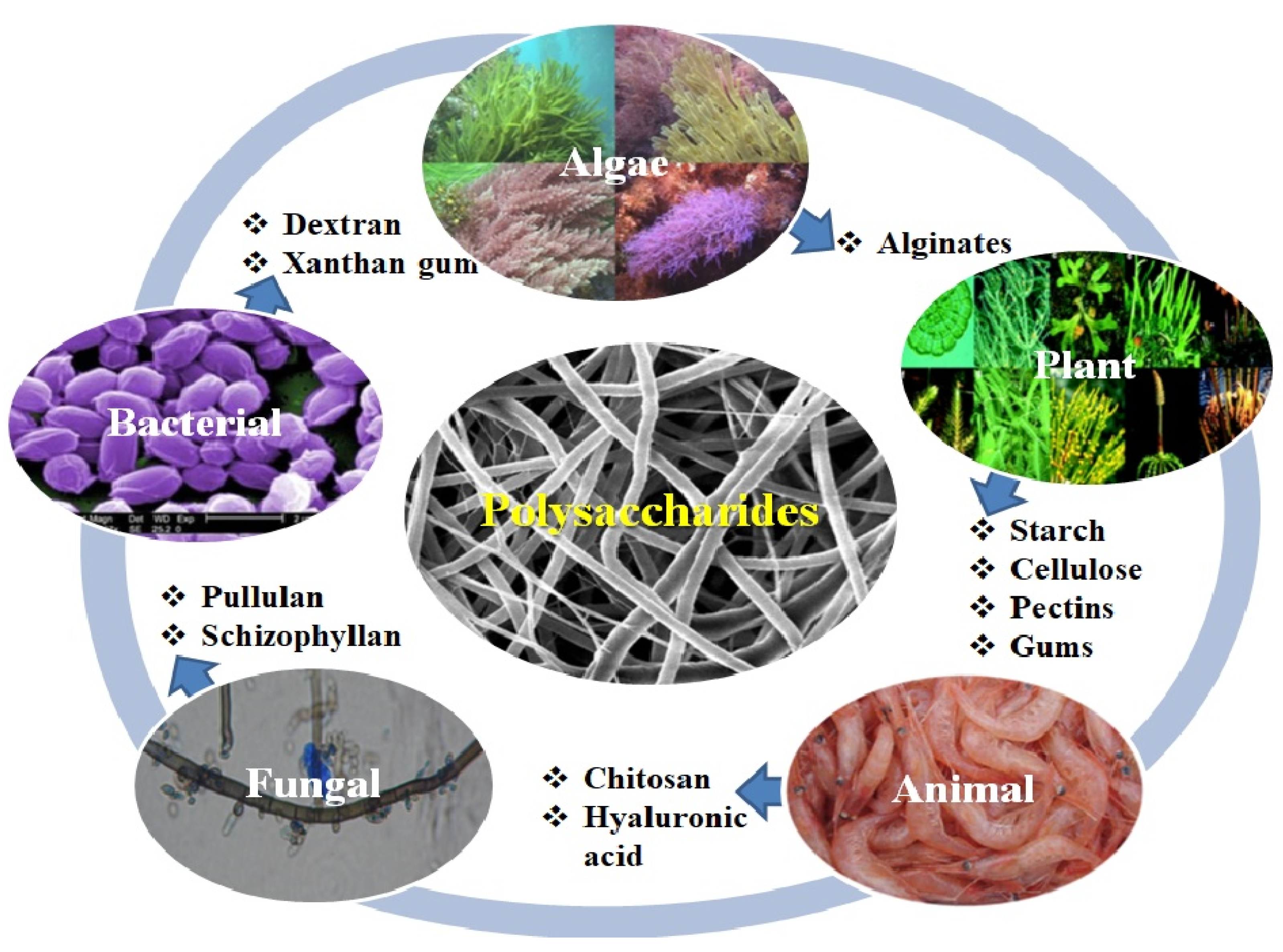 Pharmaceutics 12 00983 g005