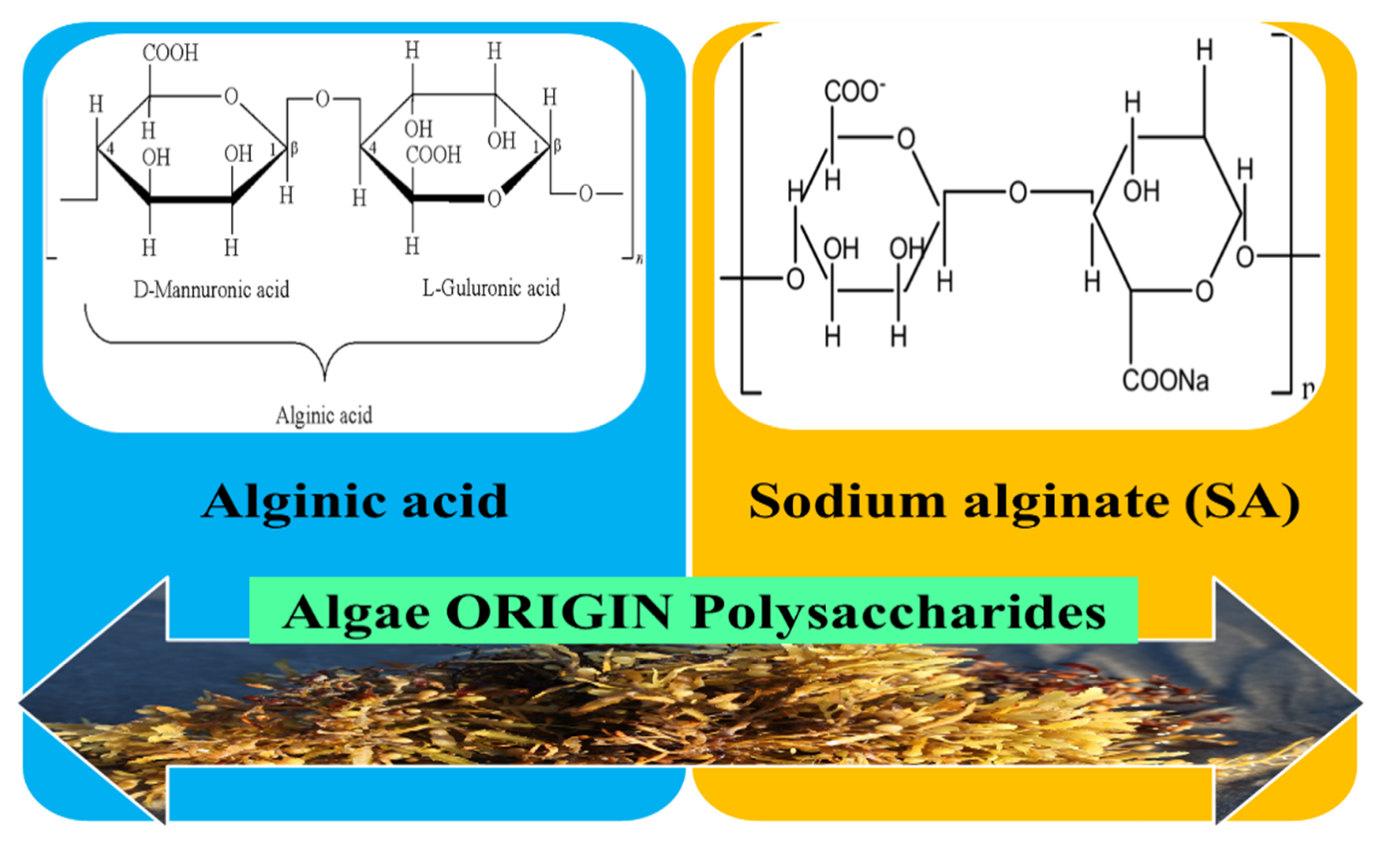 Pharmaceutics 12 00983 g006