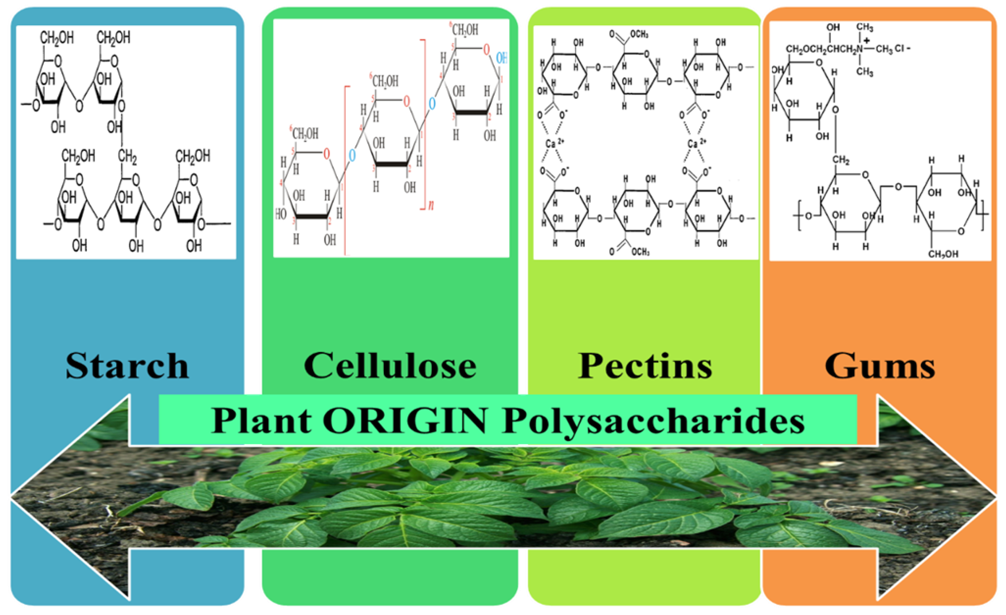Pharmaceutics 12 00983 g007