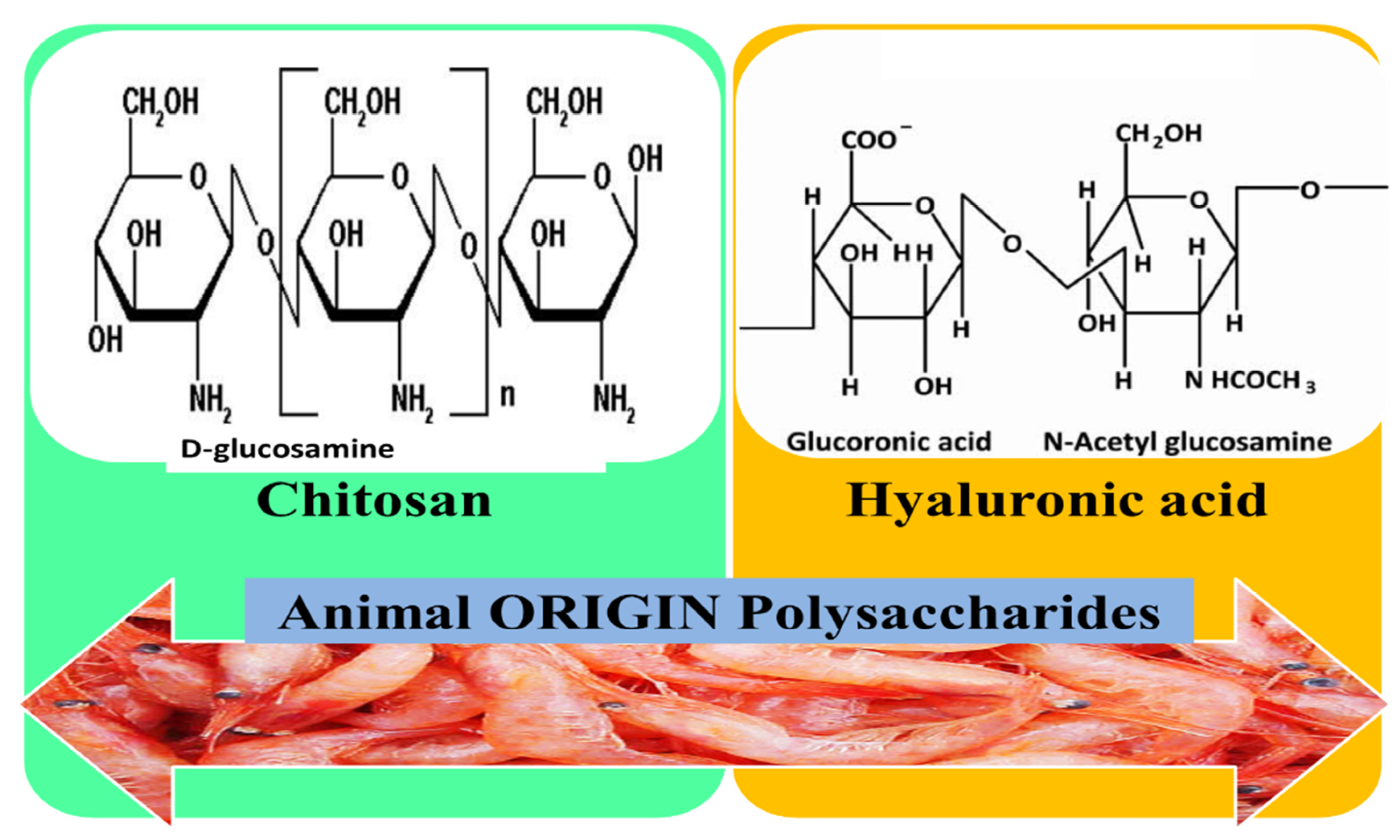 Pharmaceutics 12 00983 g008
