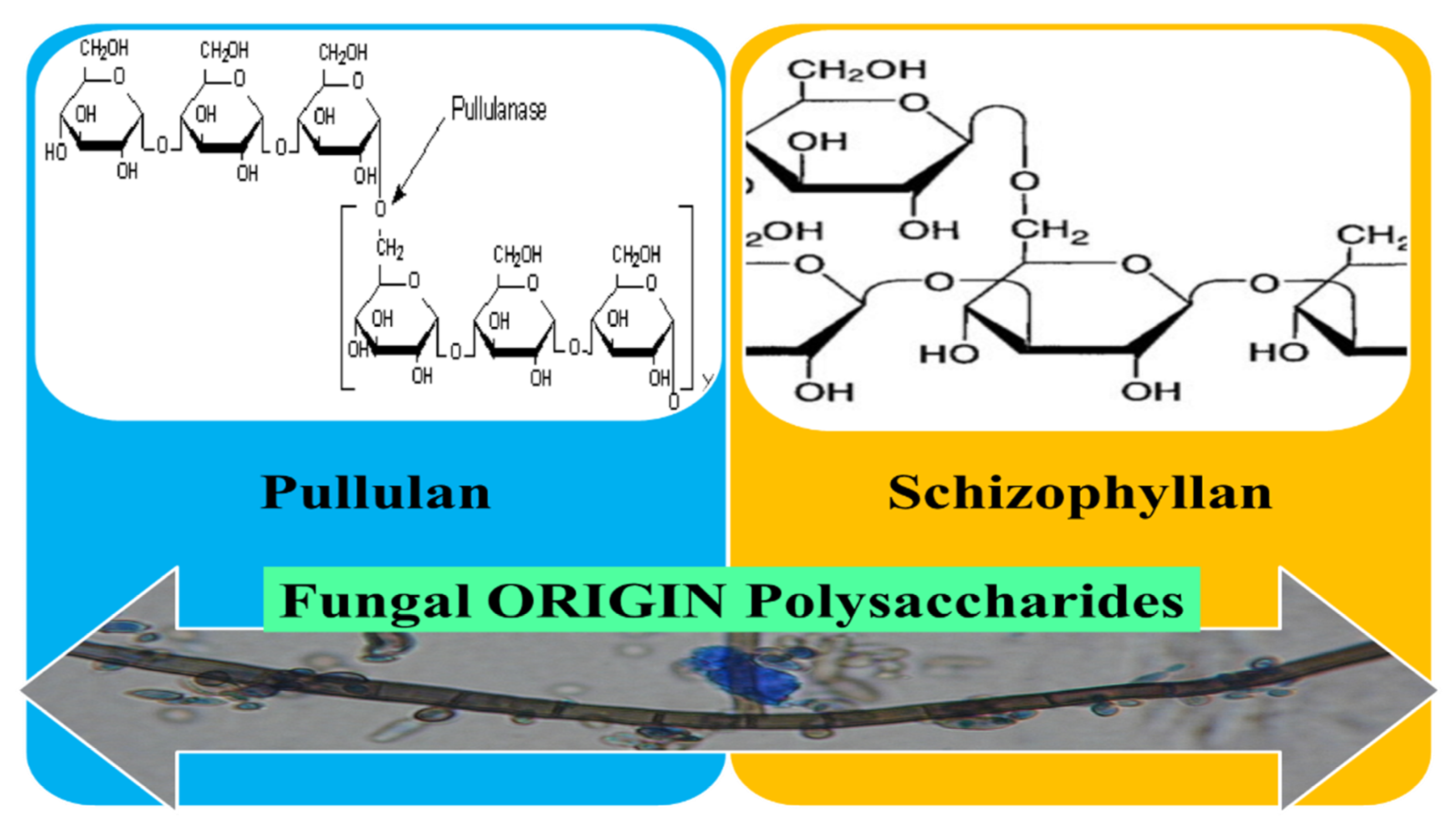 Pharmaceutics 12 00983 g009
