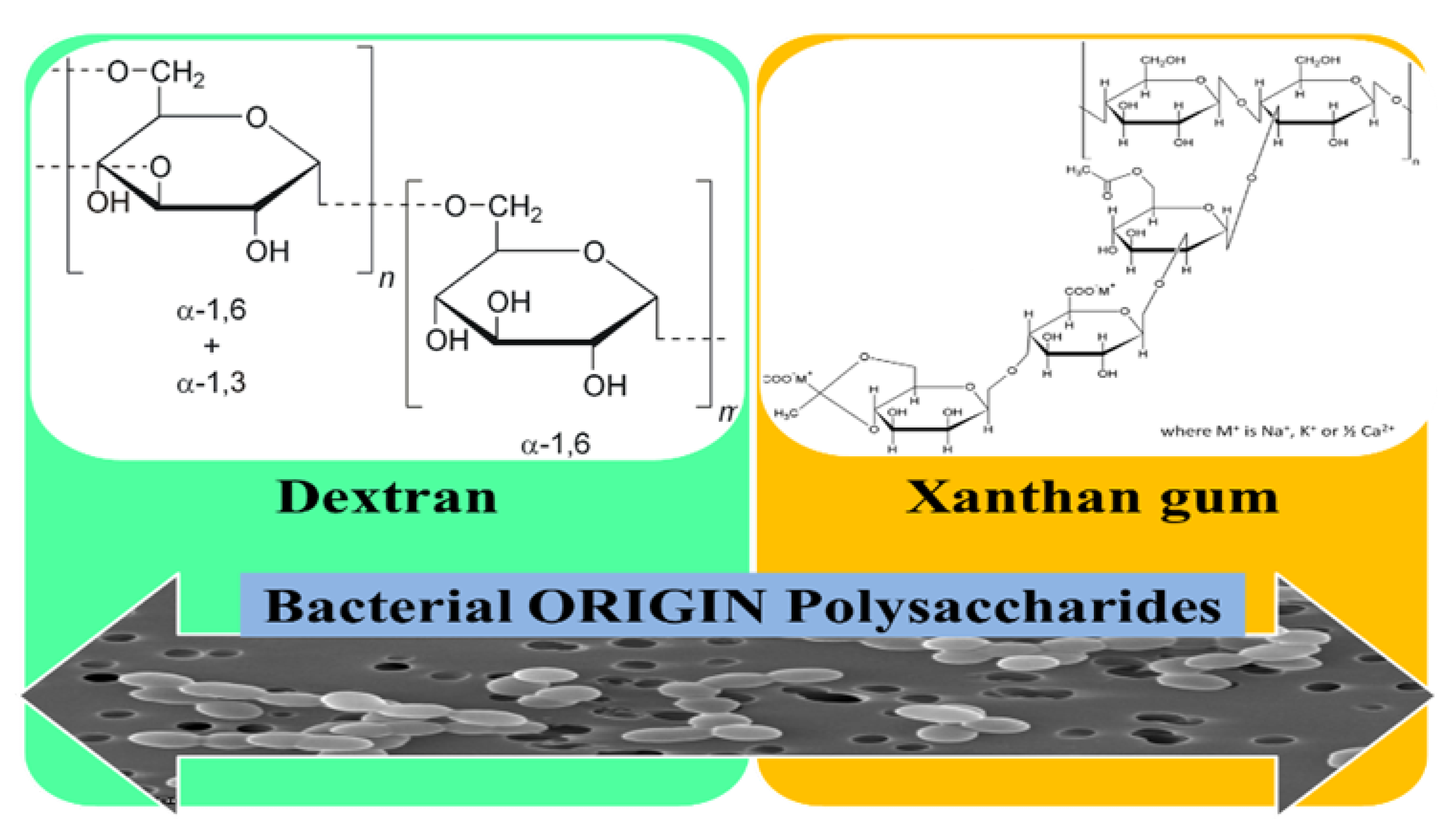 Pharmaceutics 12 00983 g010