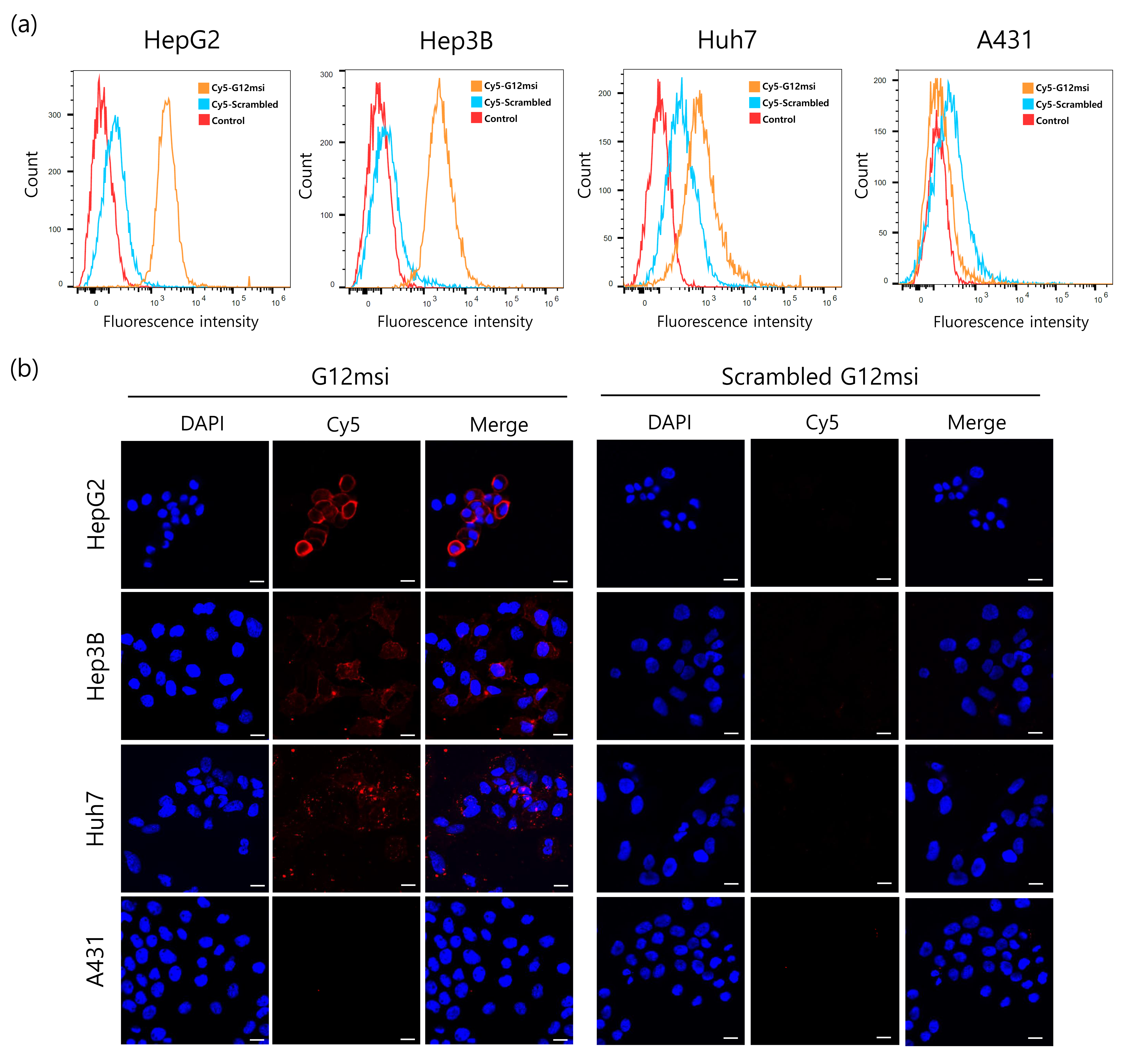 Pharmaceutics 12 00985 g002