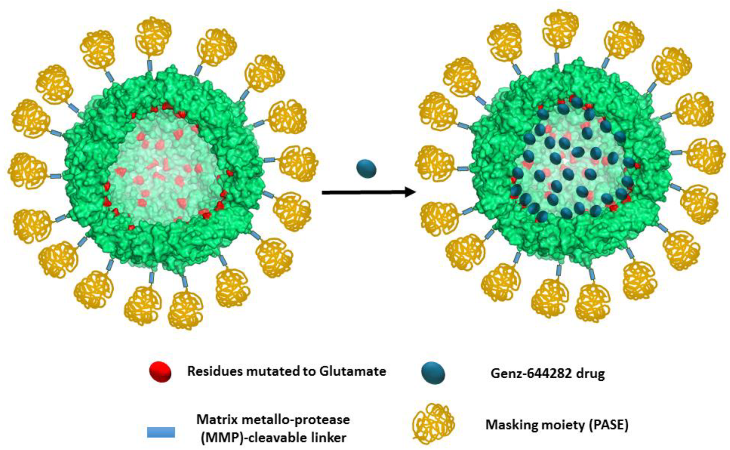Pharmaceutics 12 00992 g001 Pharmaceutics 12 00992 g001