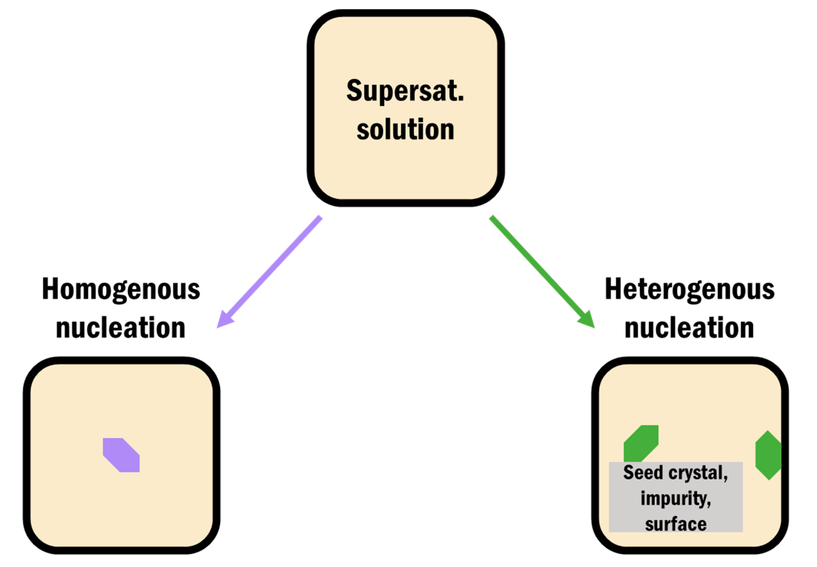 Pharmaceutics 12 00995 g003 Pharmaceutics 12 00995 g003