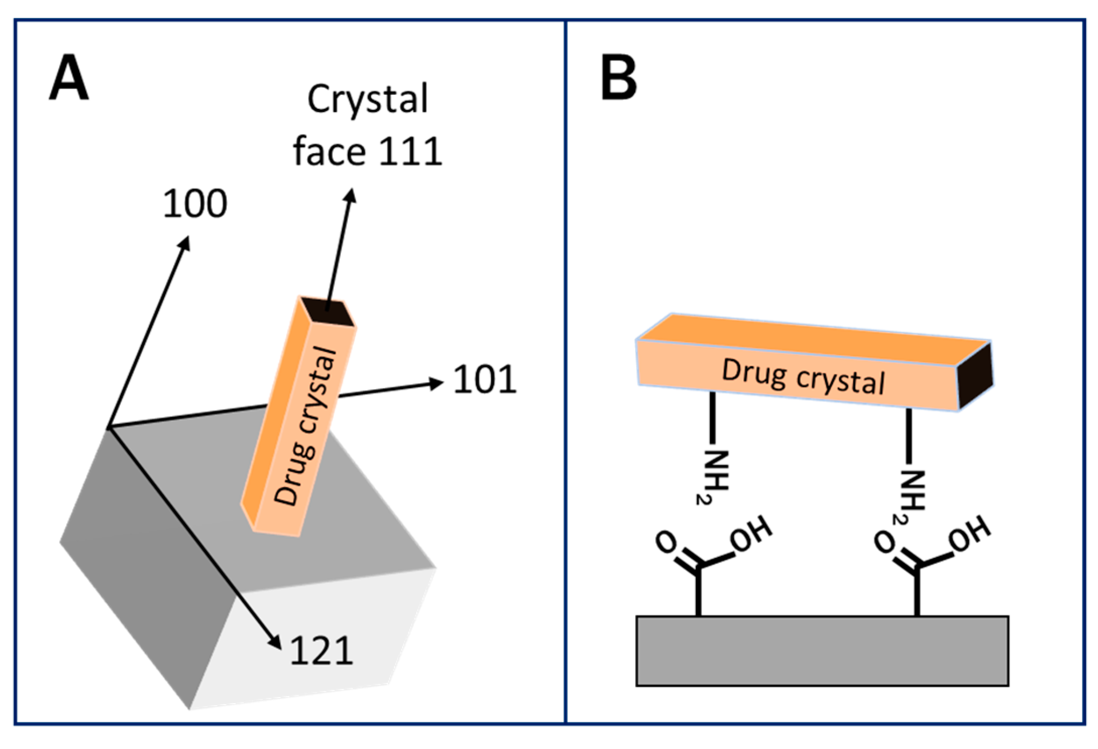 Pharmaceutics 12 00995 g004 Pharmaceutics 12 00995 g004