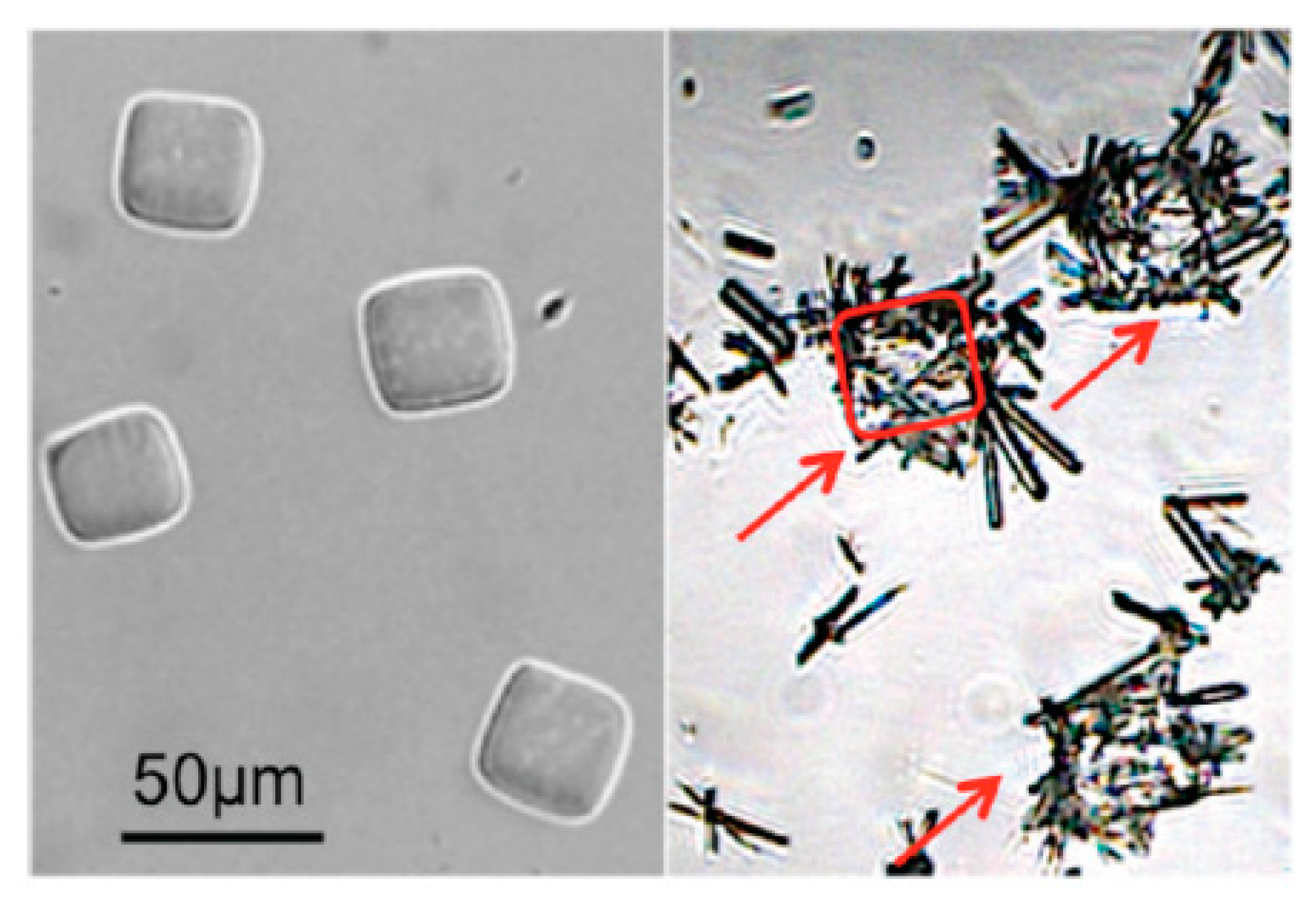 Pharmaceutics 12 00995 g005 Pharmaceutics 12 00995 g005