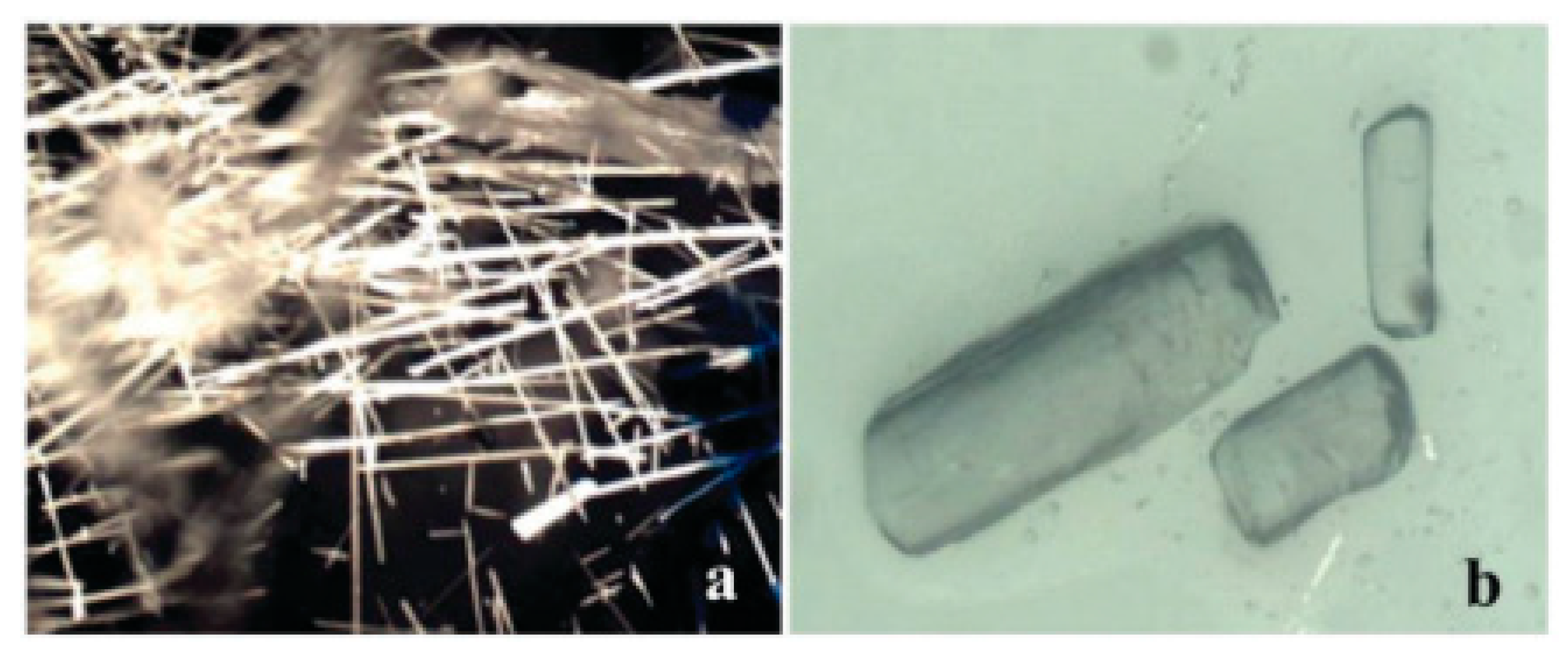 Pharmaceutics 12 00995 g006 Pharmaceutics 12 00995 g006