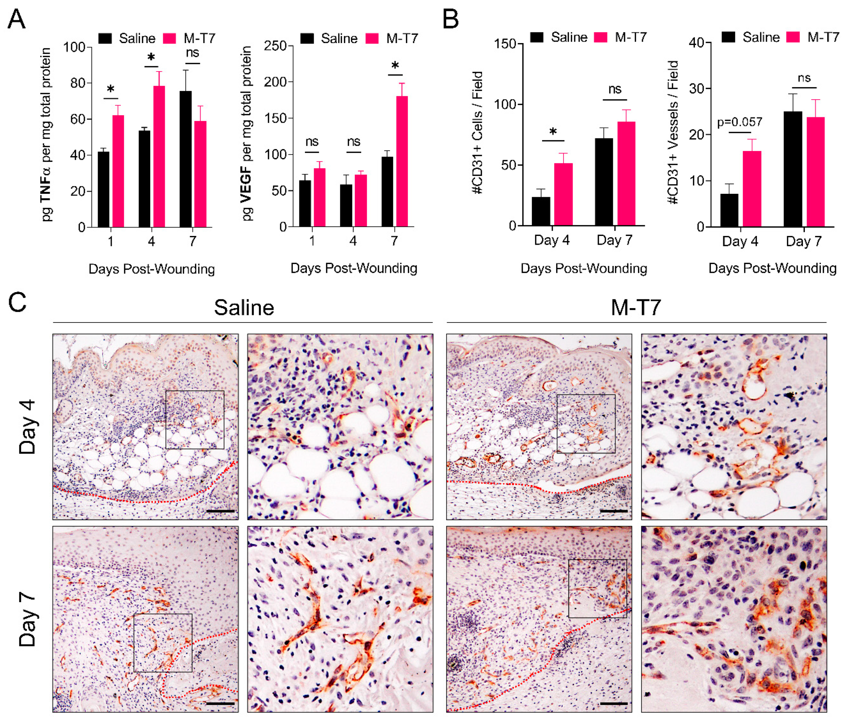 Pharmaceutics 12 01003 g003