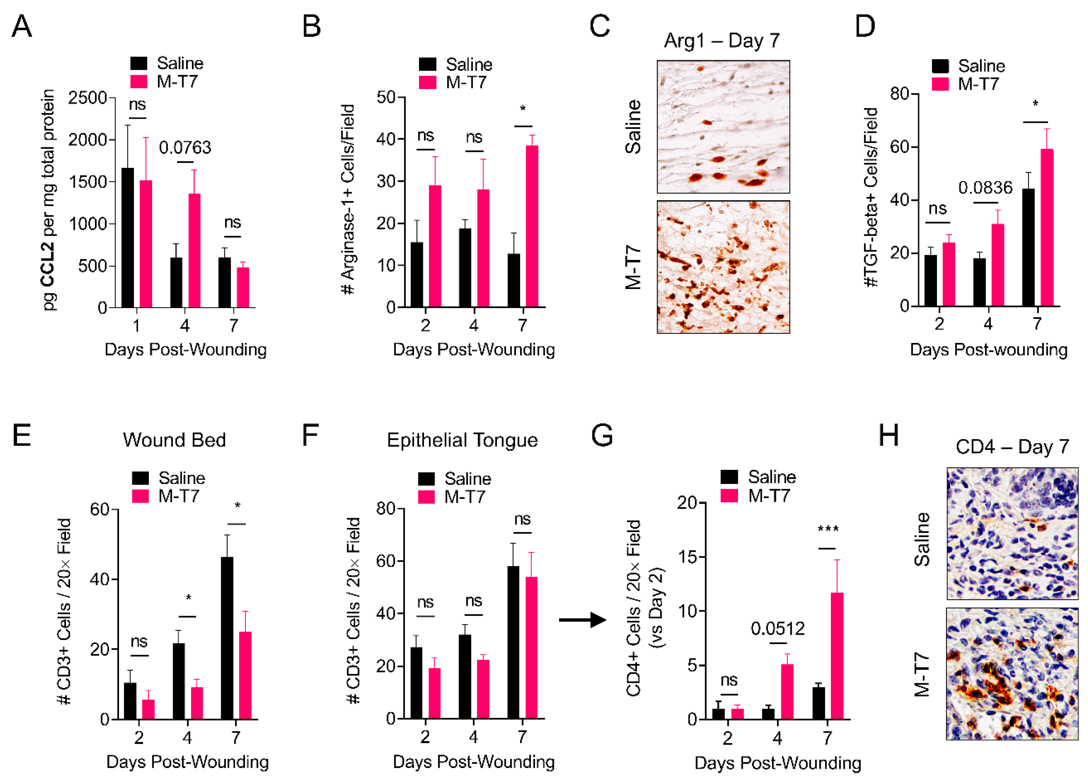Pharmaceutics 12 01003 g004