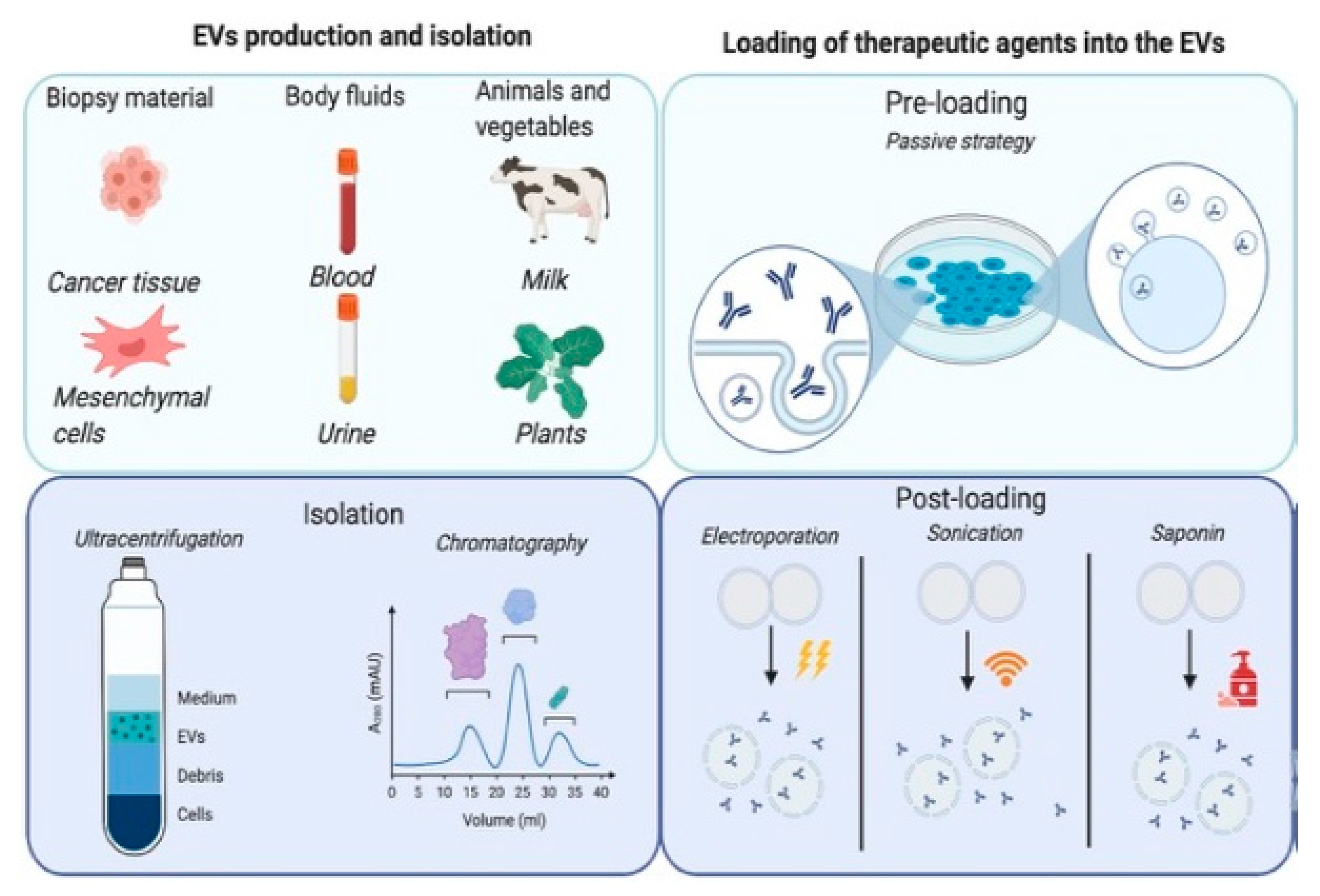Pharmaceutics 12 01006 g001a