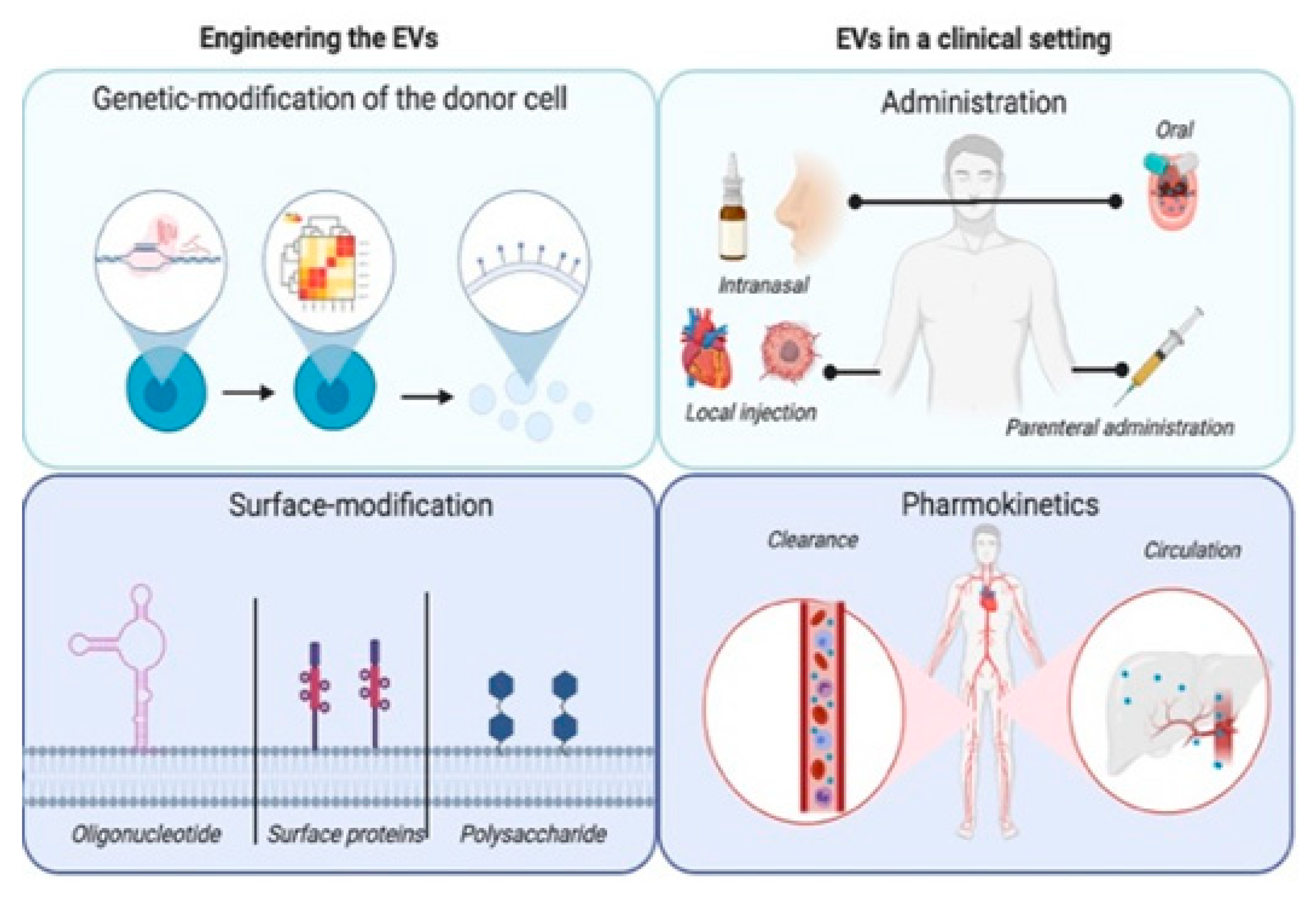 Pharmaceutics 12 01006 g001b