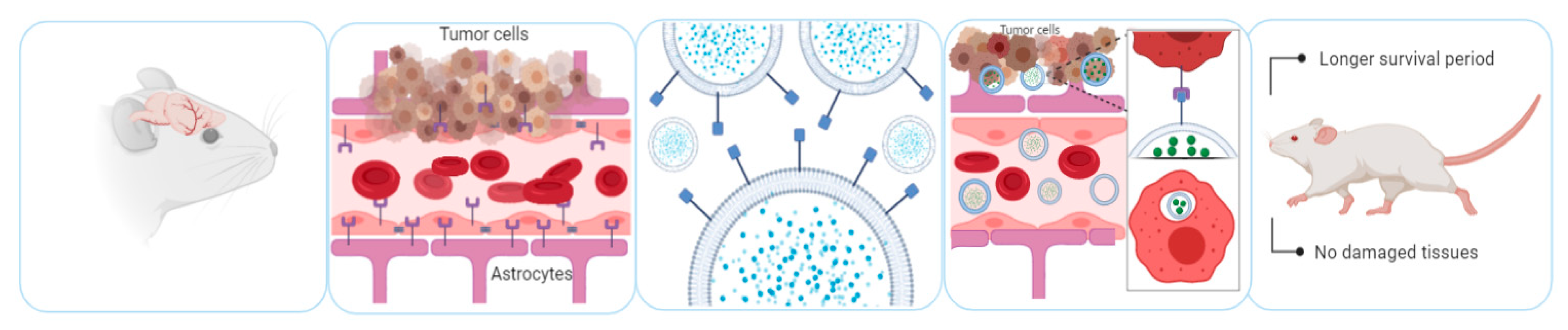 Pharmaceutics 12 01006 g003