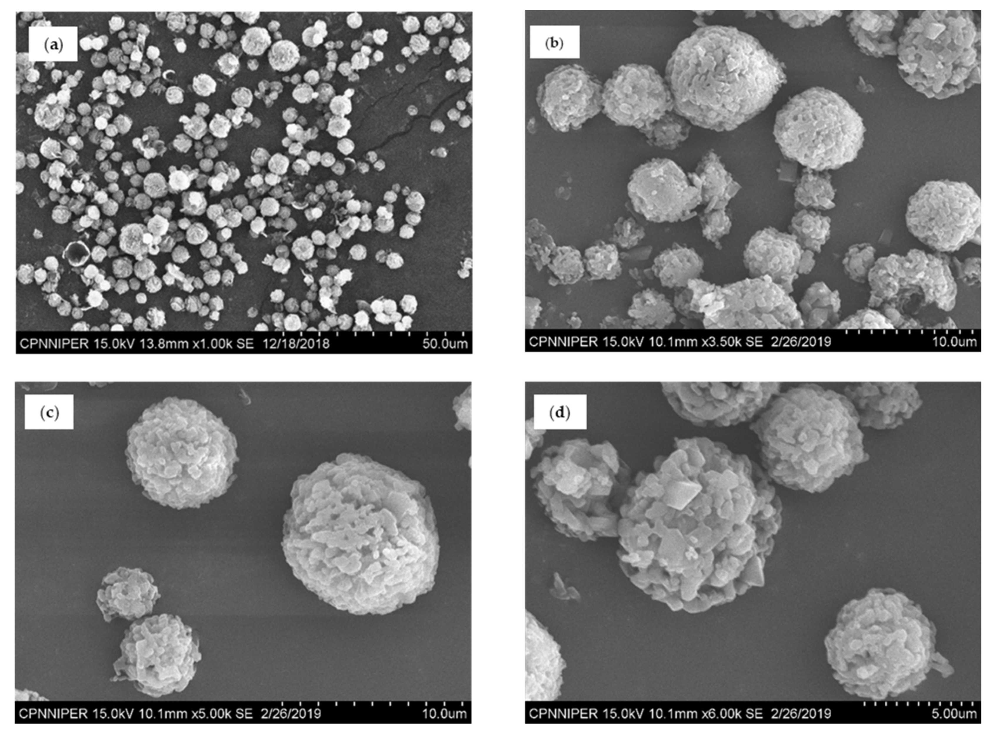Pharmaceutics 12 01015 g003